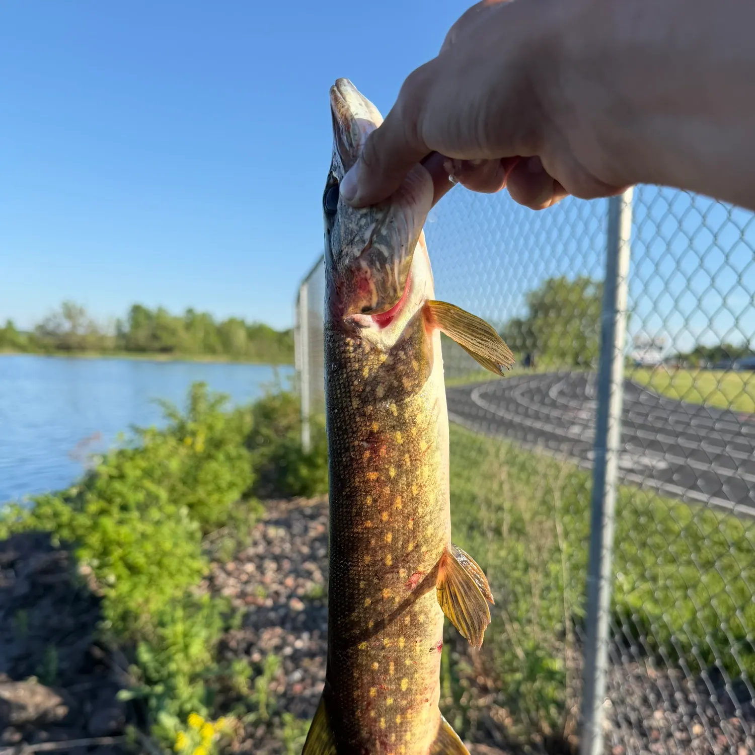 catch
