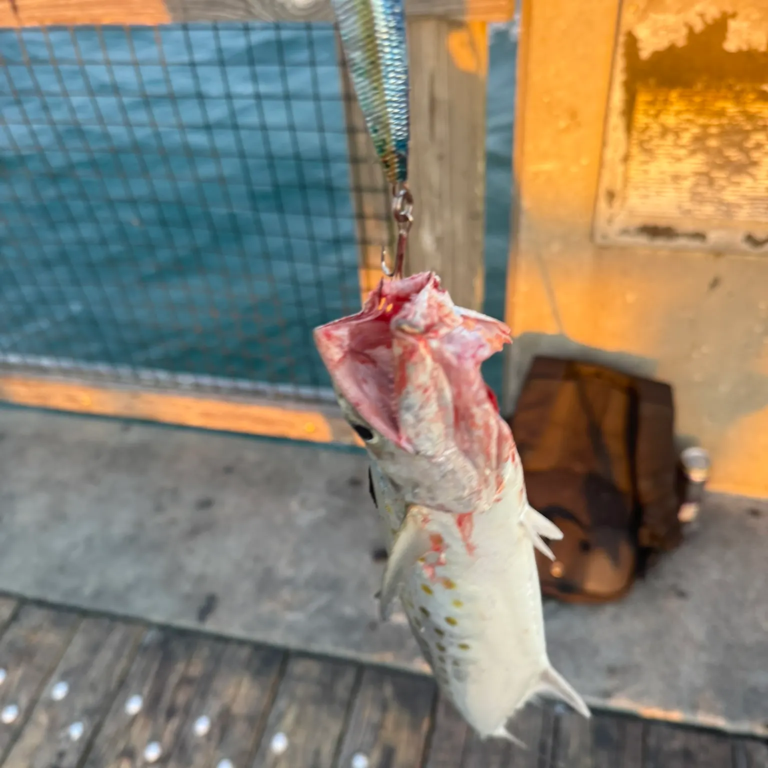 catch