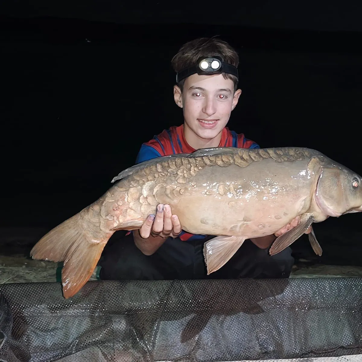 Leather carp caught on Fishbrain