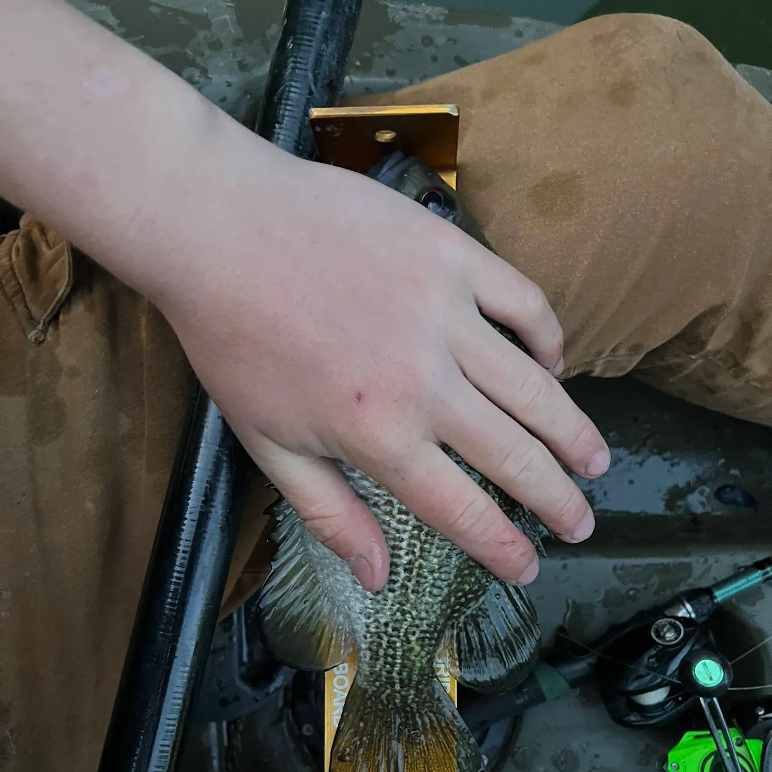 recently logged catches