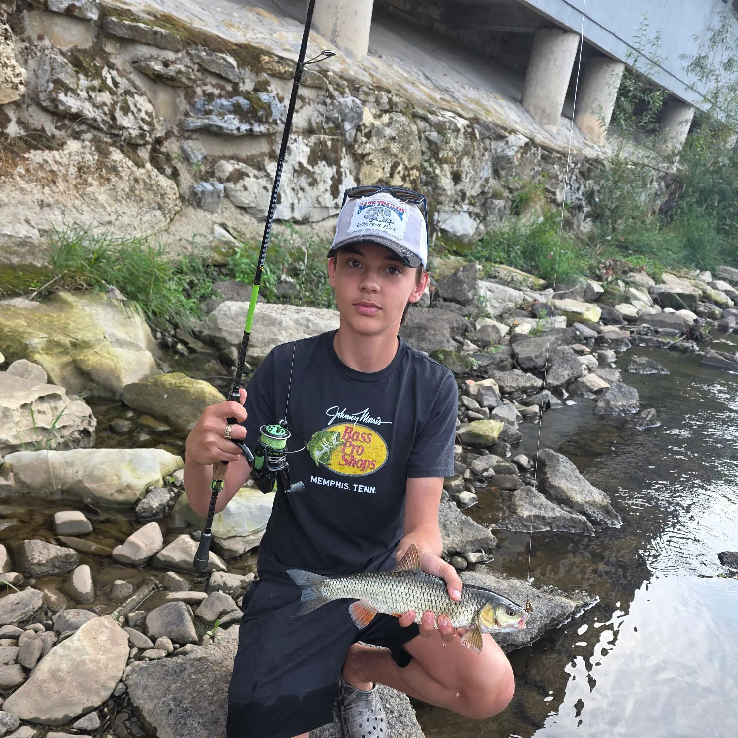 European chub caught on Fishbrain