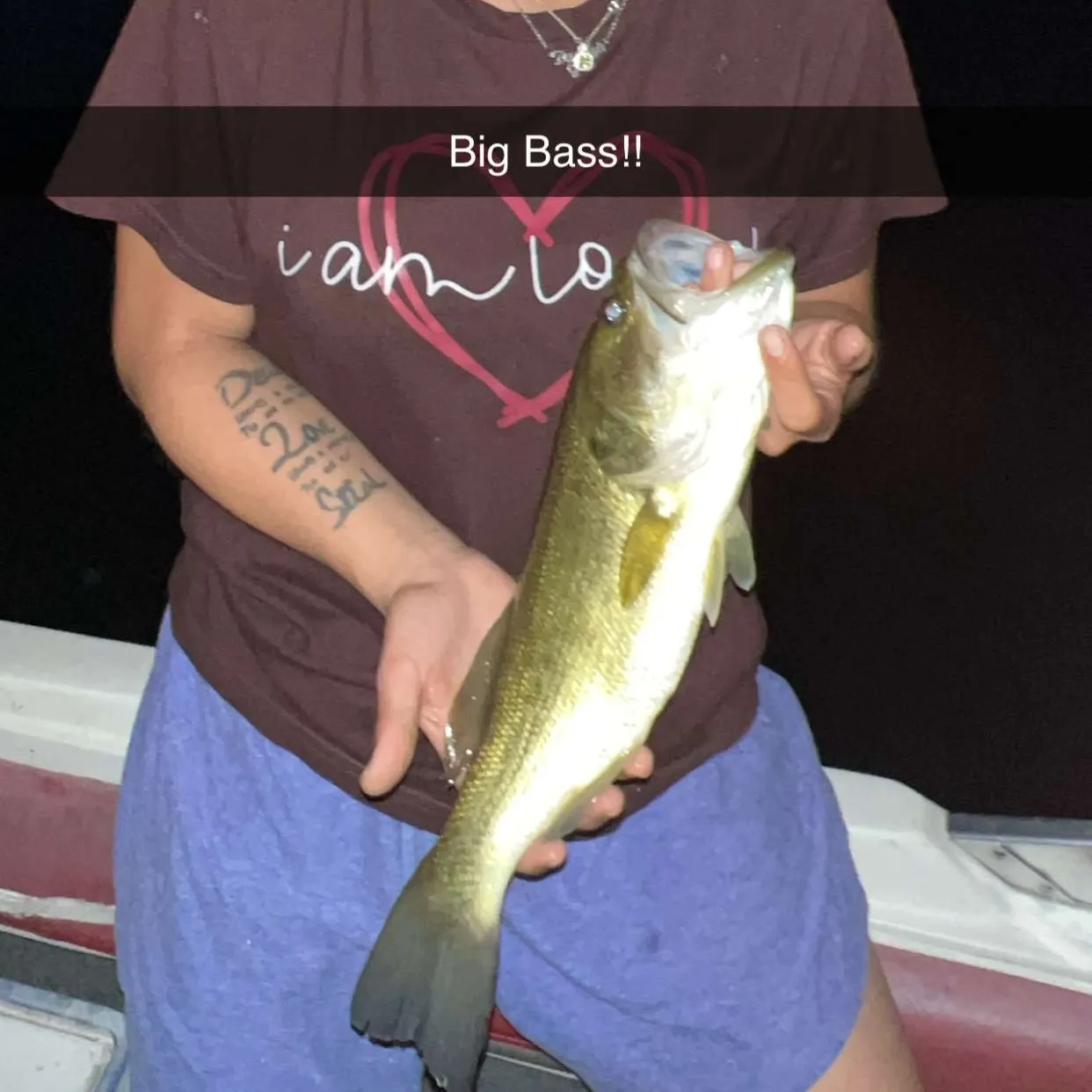 Largemouth bass caught on Fishbrain