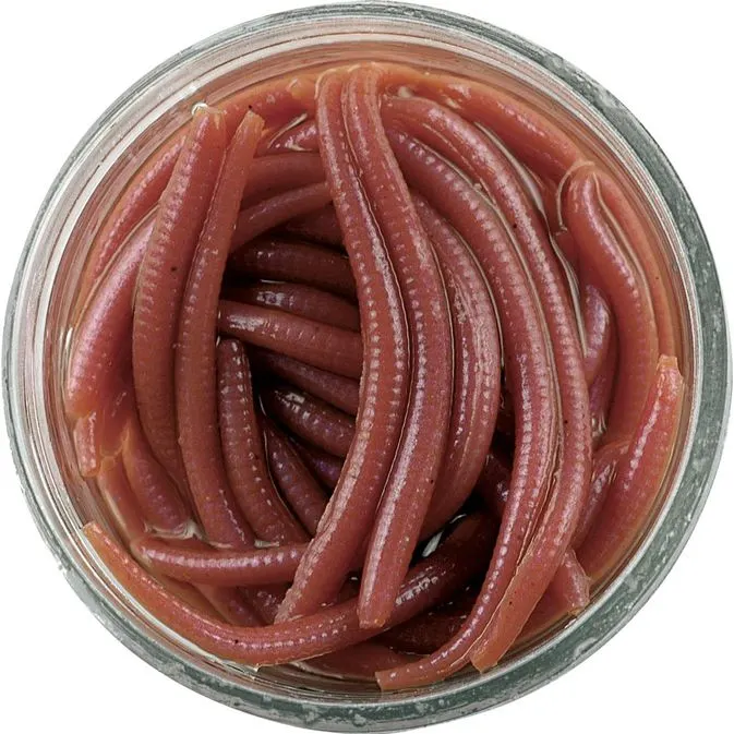 Angle Worm Micro Bait