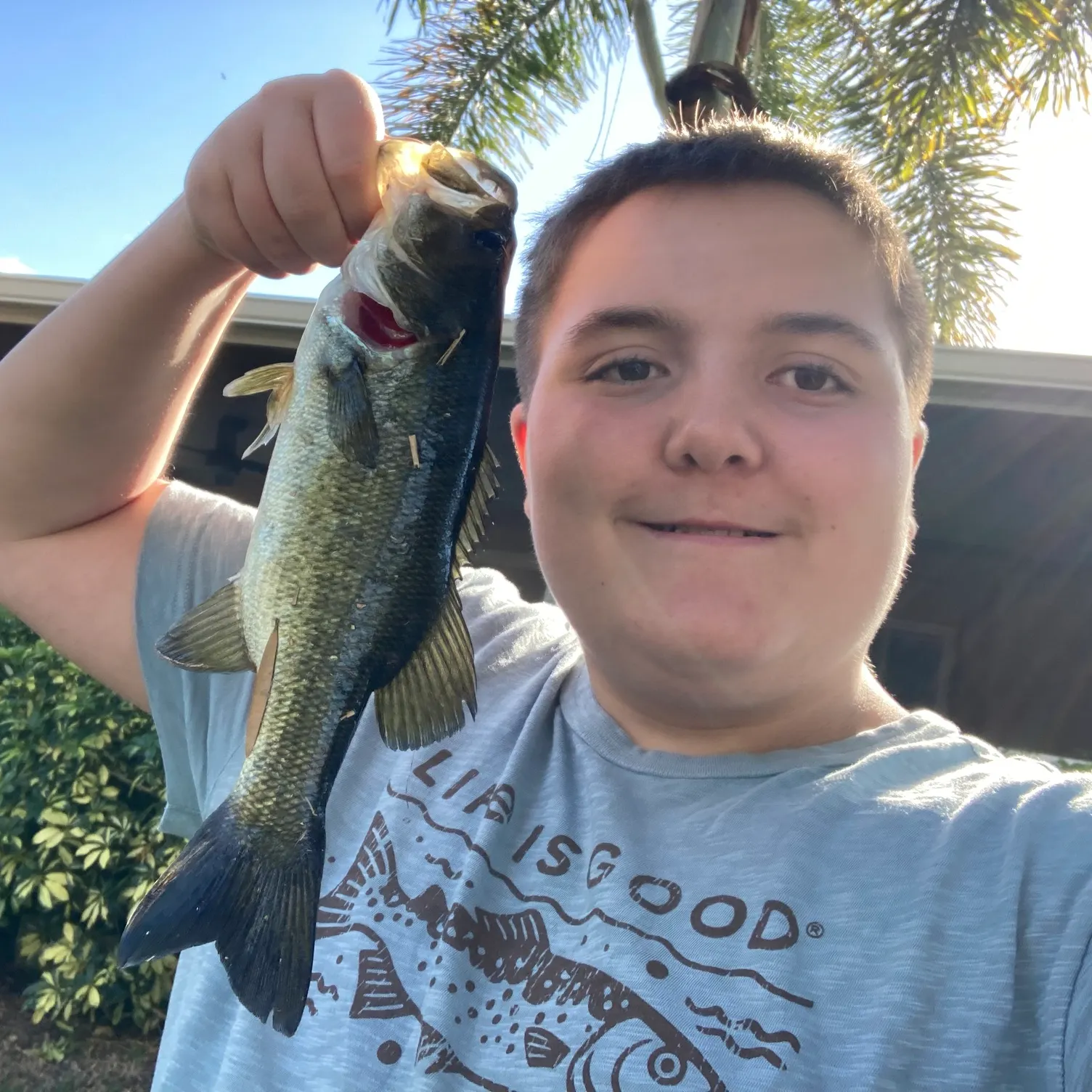 The most recent Florida bass catches on Fishbrain
