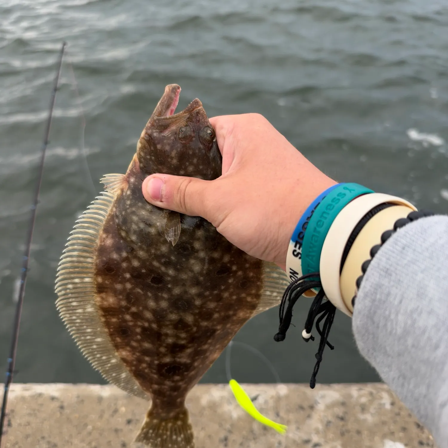Summer flounder caught on Fishbrain