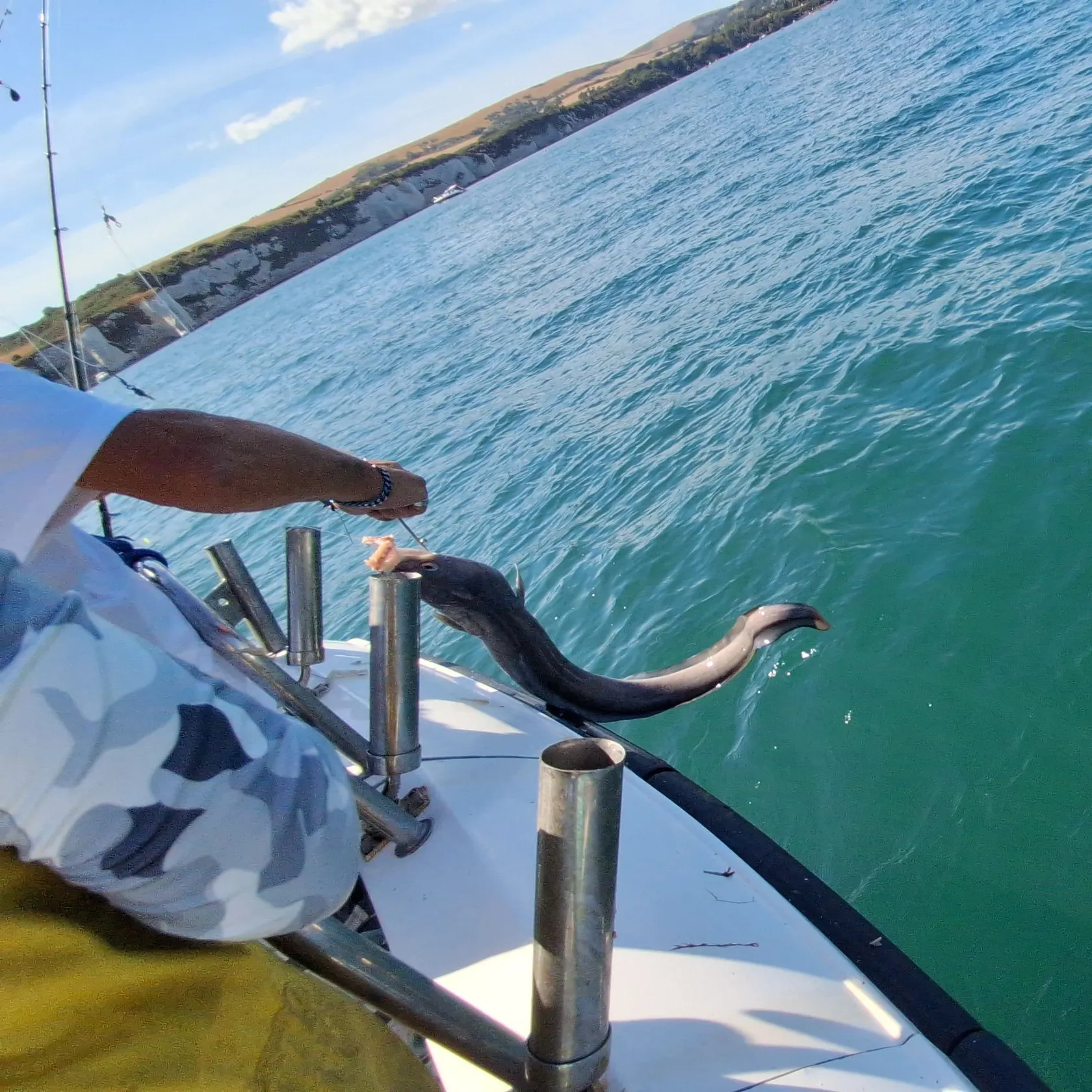 European conger caught on Fishbrain