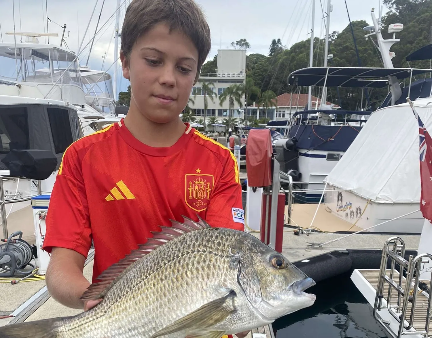 Southern black bream