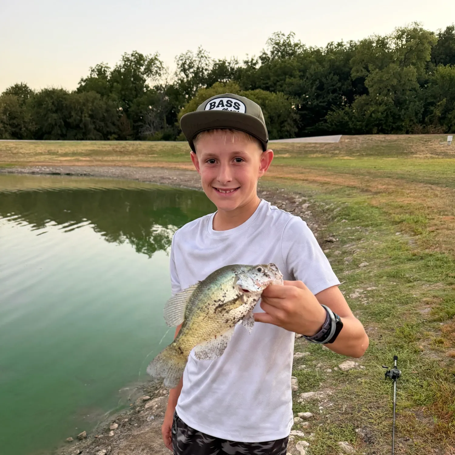 White crappie caught on Fishbrain