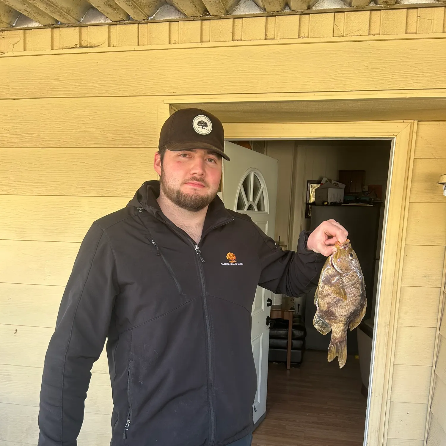 The most recent Pacific ocean perch catches on Fishbrain