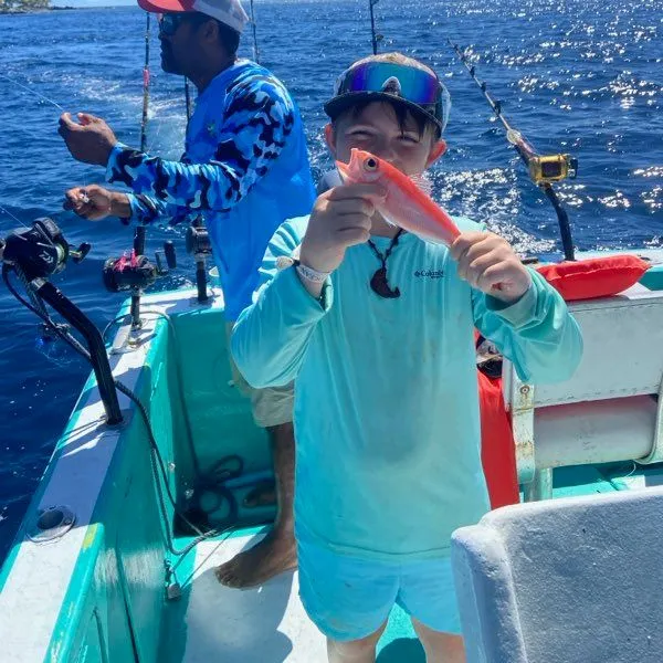 The most recent Queen Snapper catches on Fishbrain