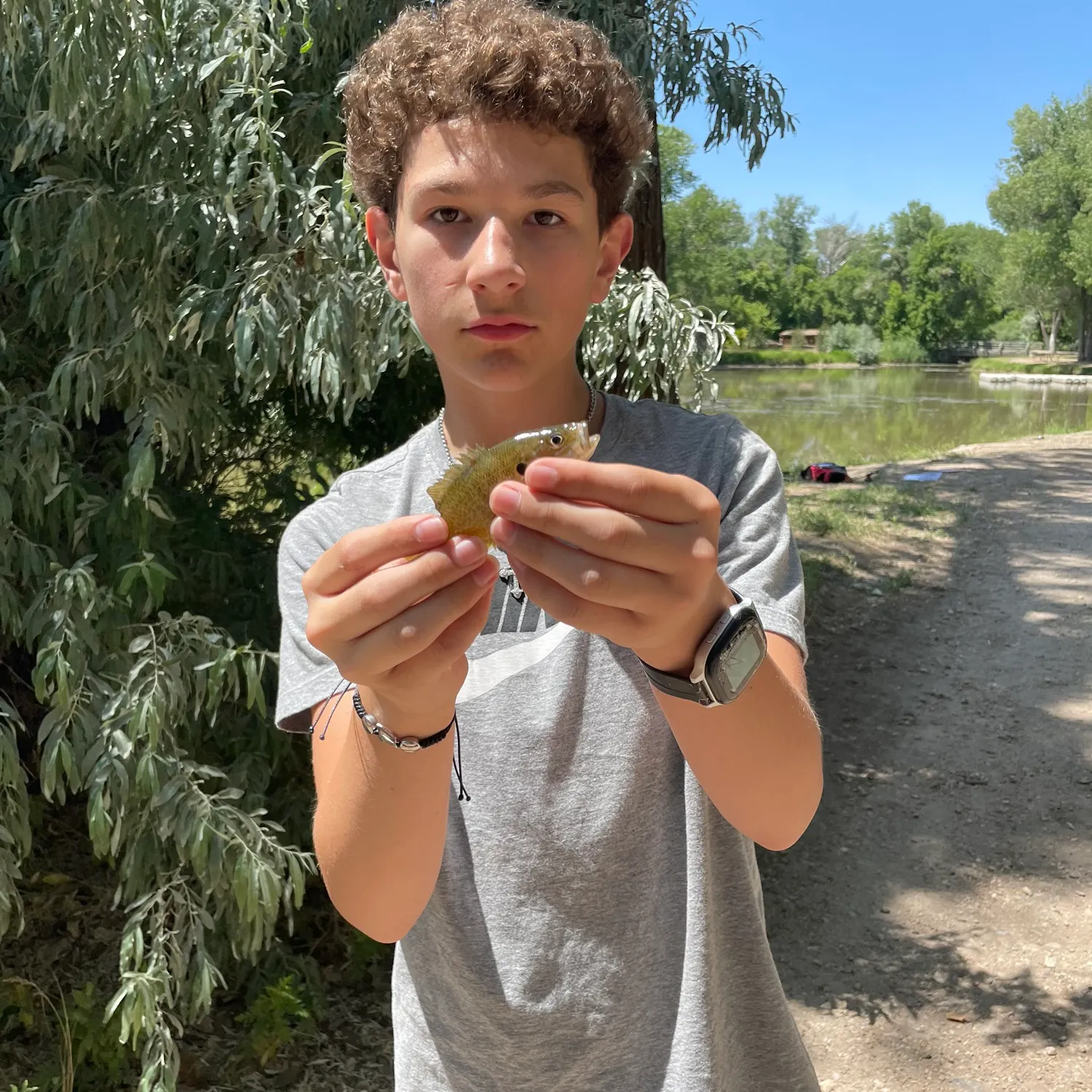The most recent Bluegill catches on Fishbrain