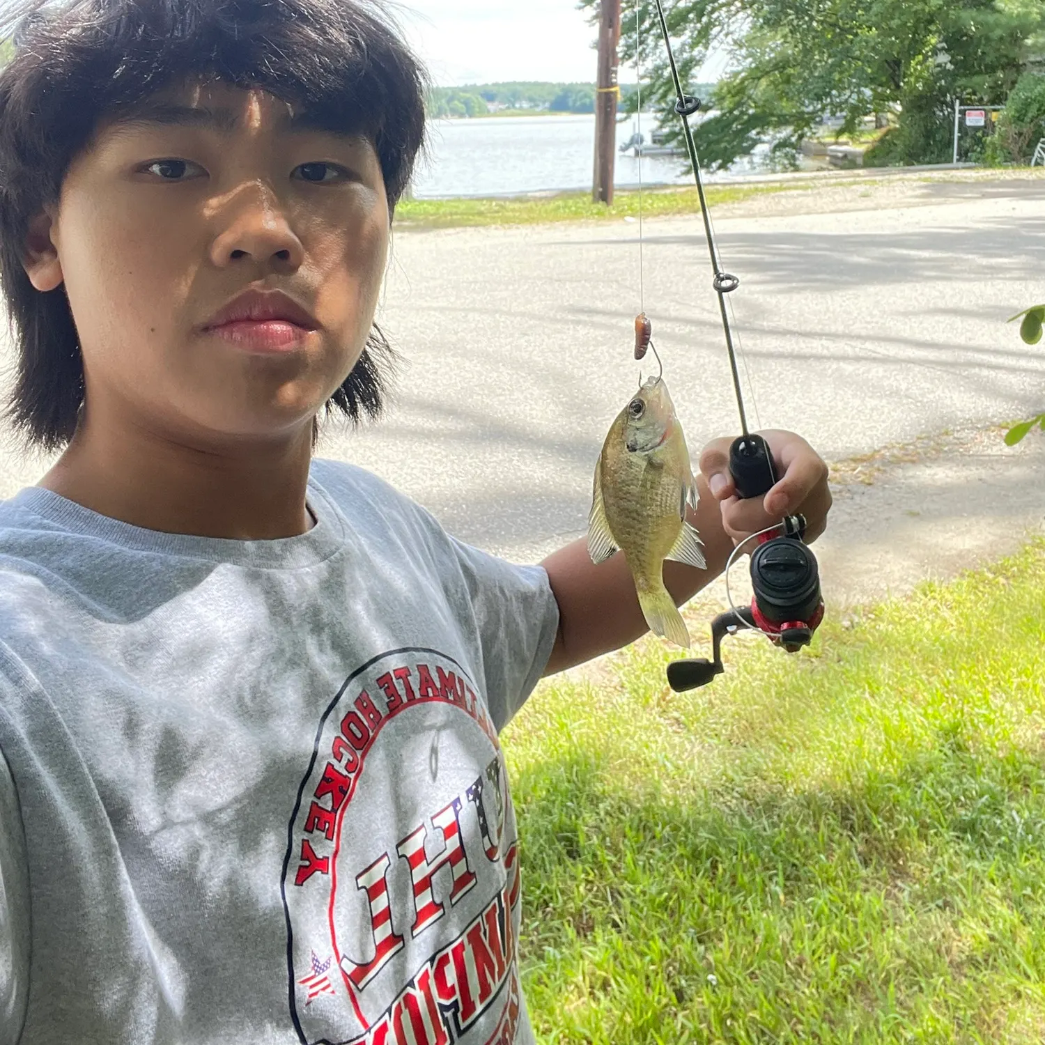 Bluegill caught on Fishbrain