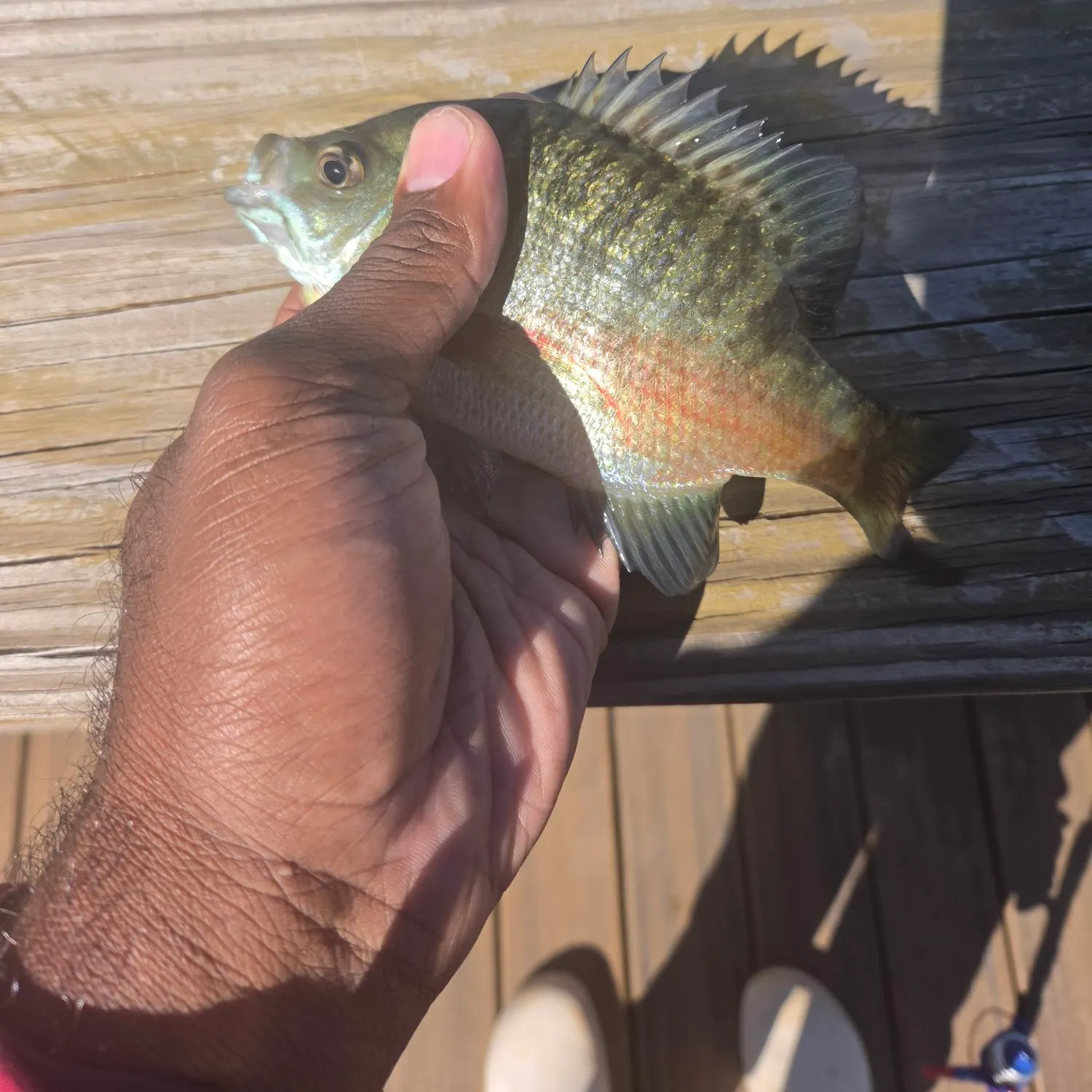 catch