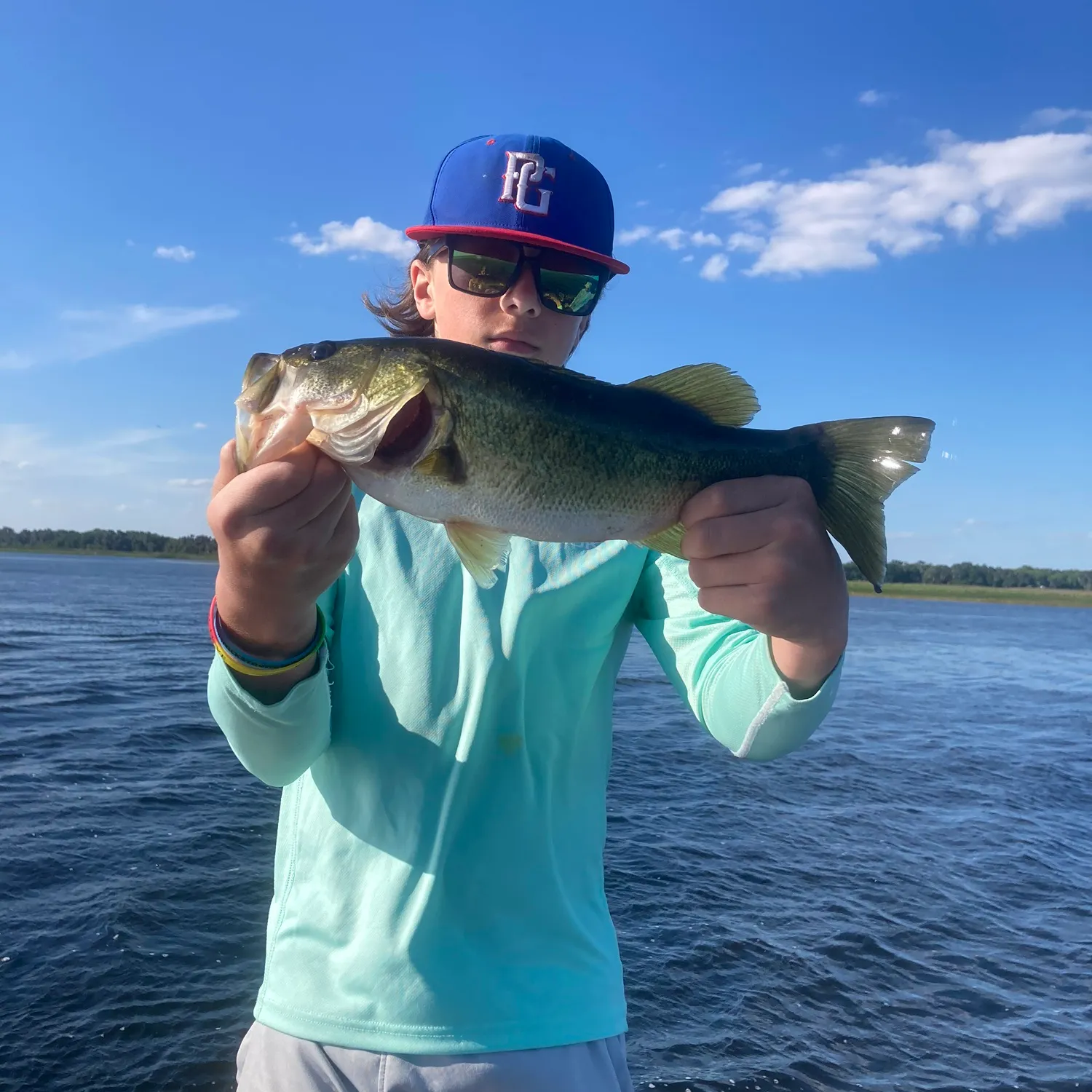 The most recent Largemouth bass catches on Fishbrain