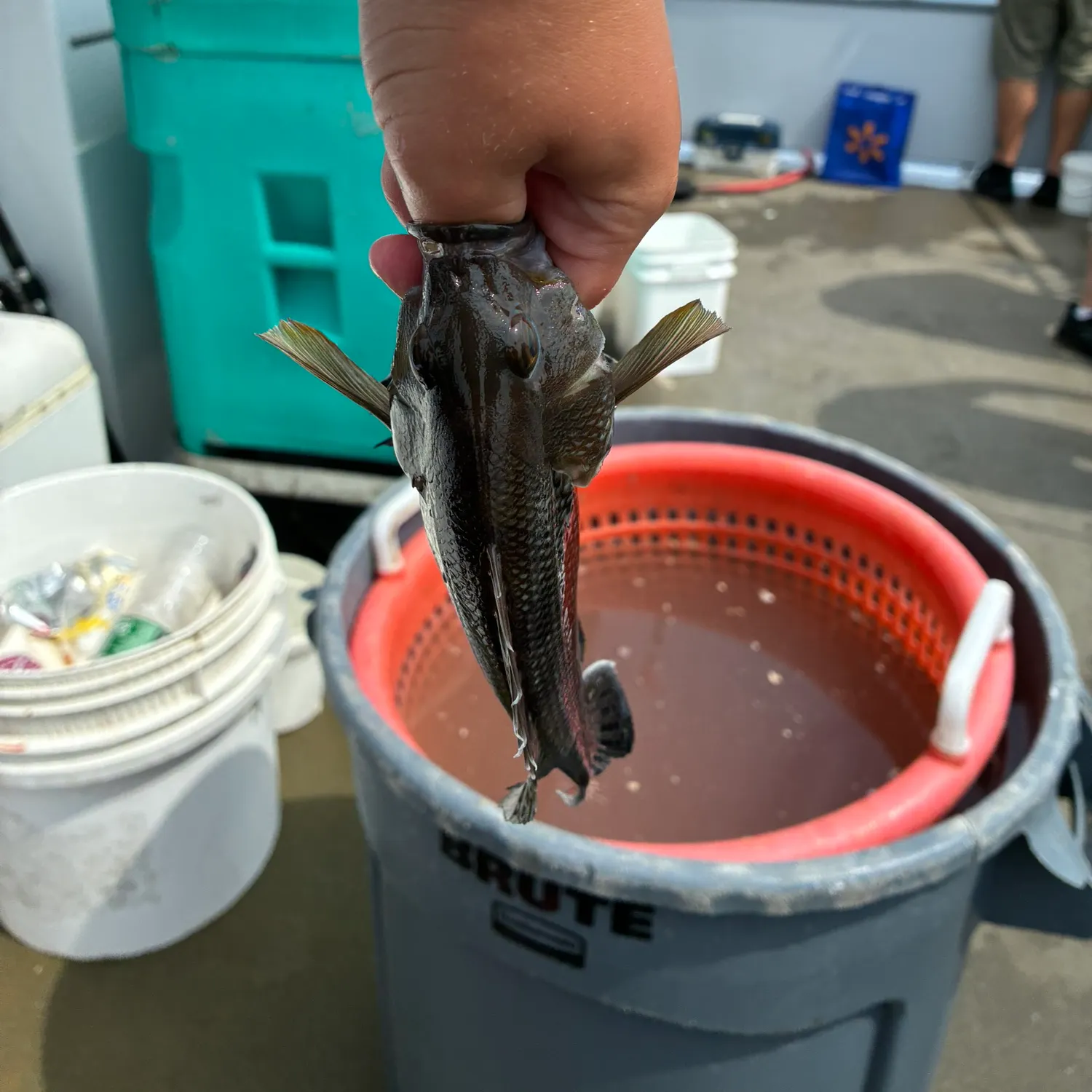 catch