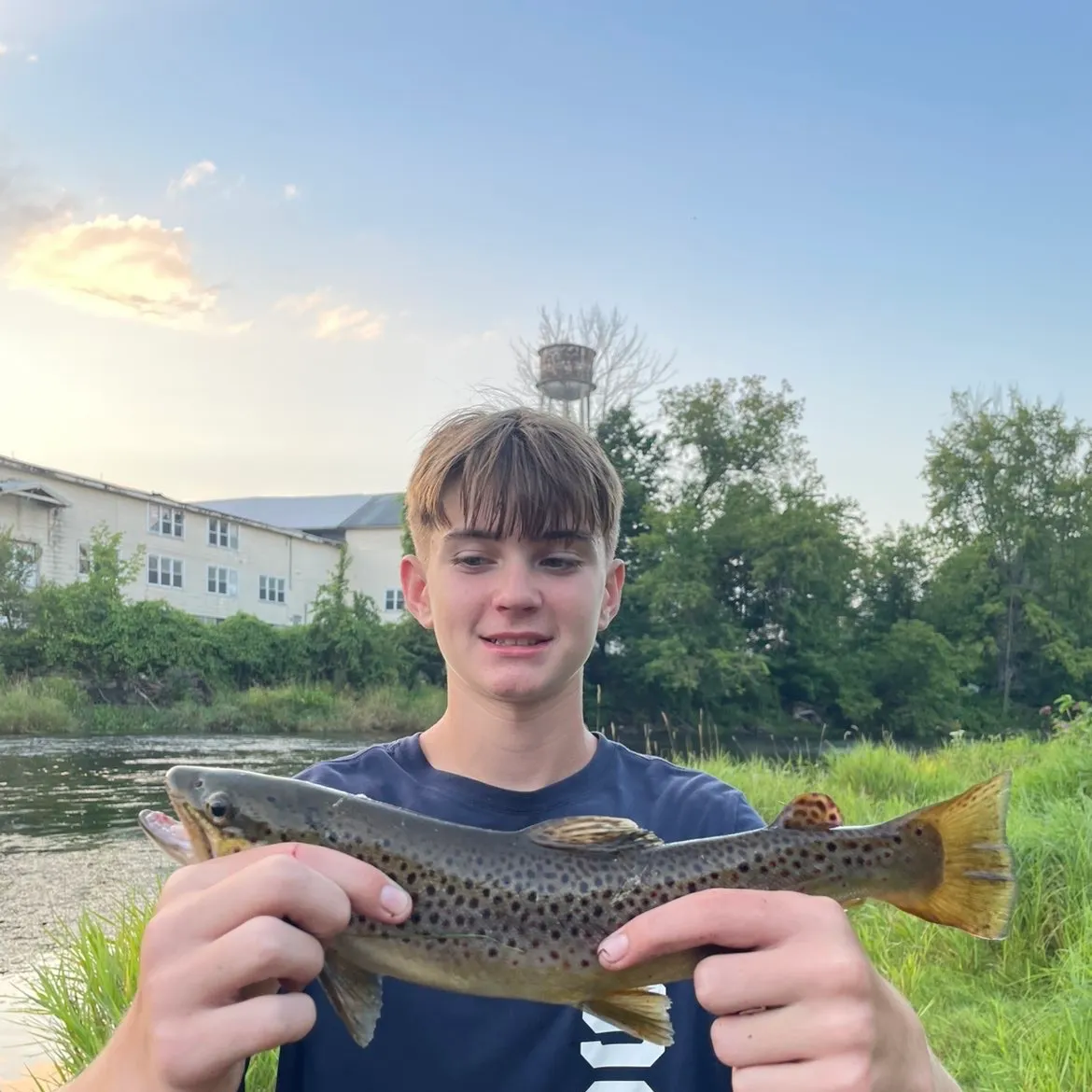 Brown trout caught on Fishbrain
