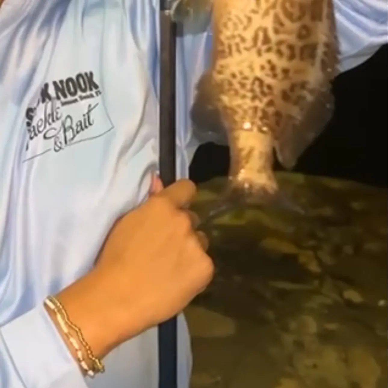 Gag grouper caught on Fishbrain