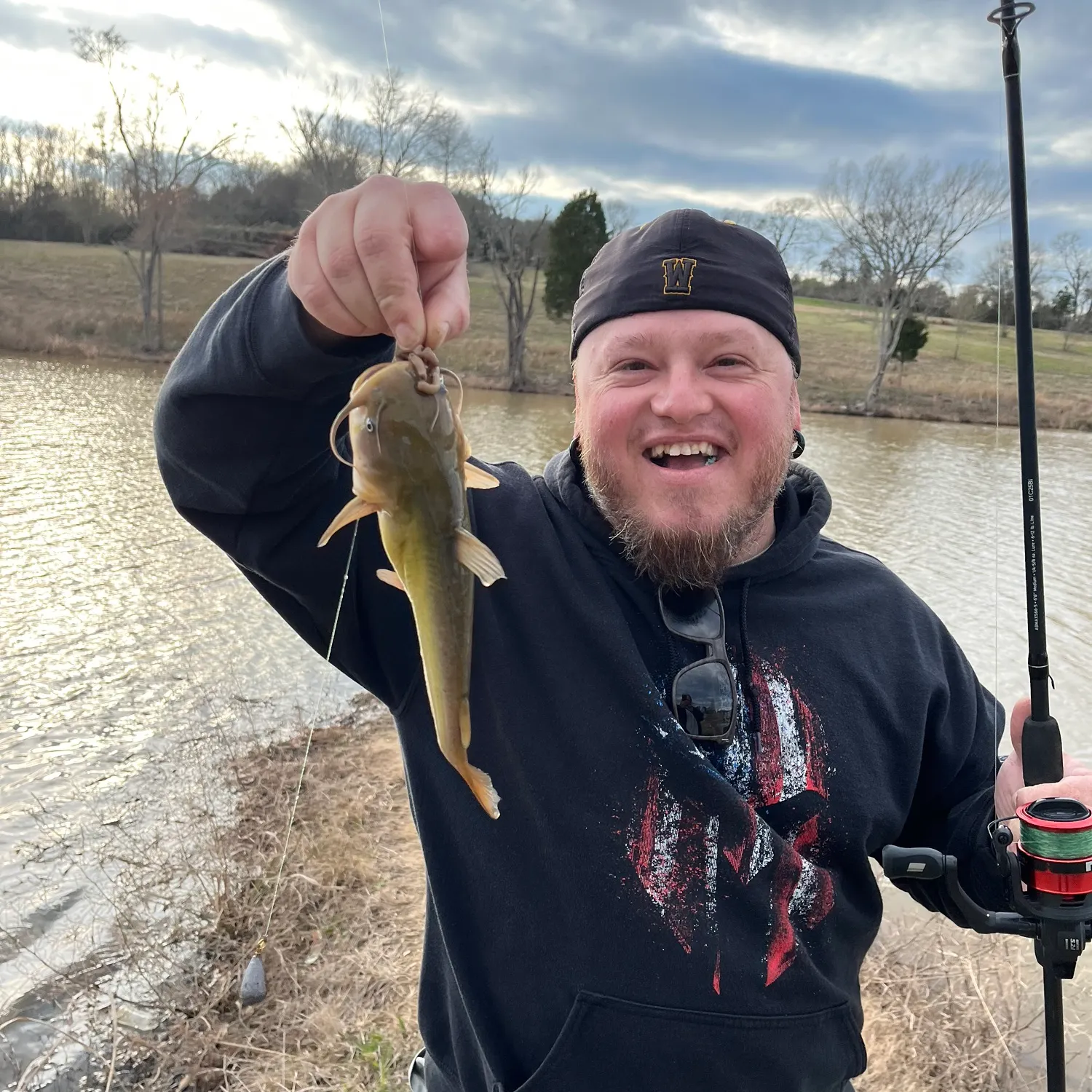The most recent Yellow bullhead catches on Fishbrain