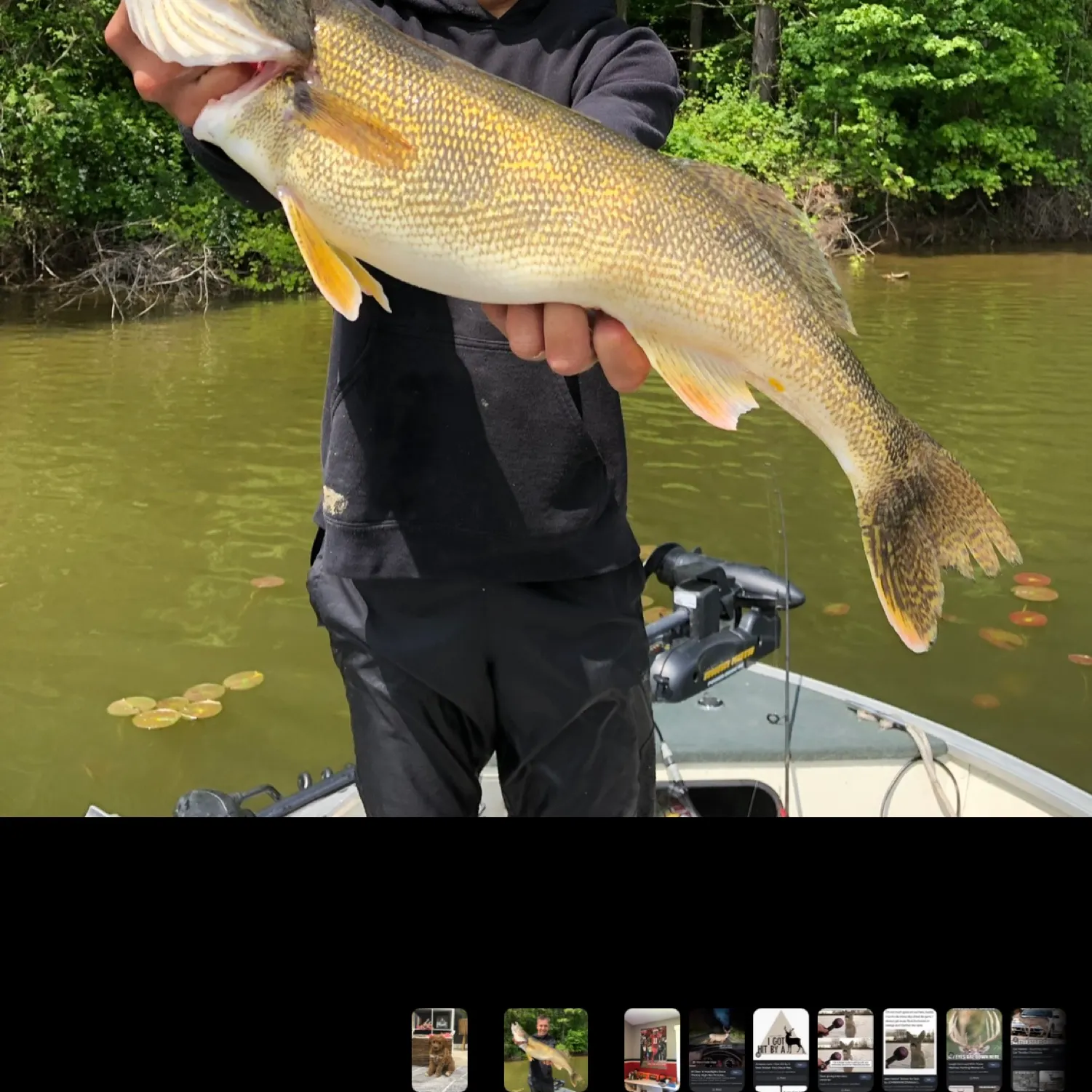 recently logged catches