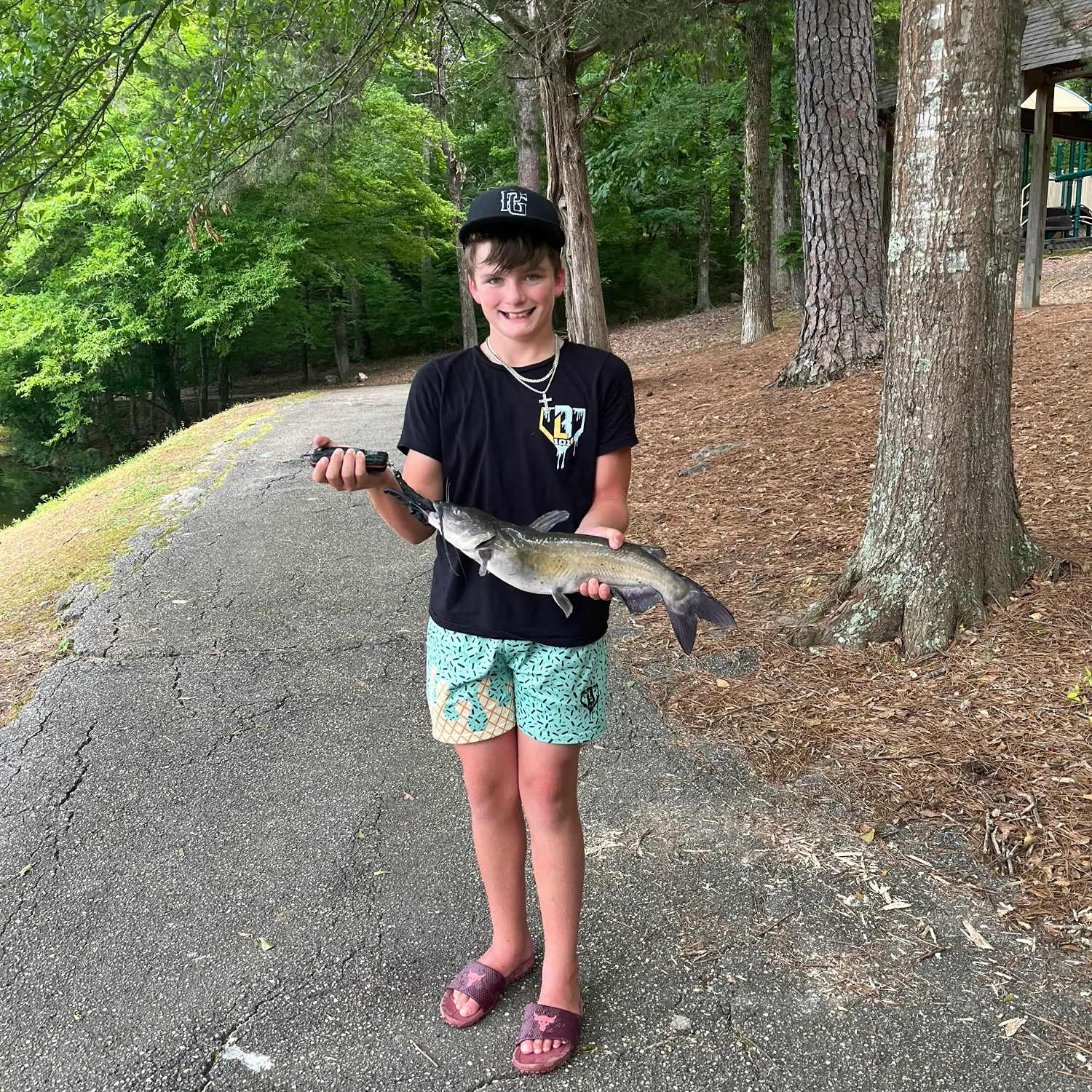 recently logged catches