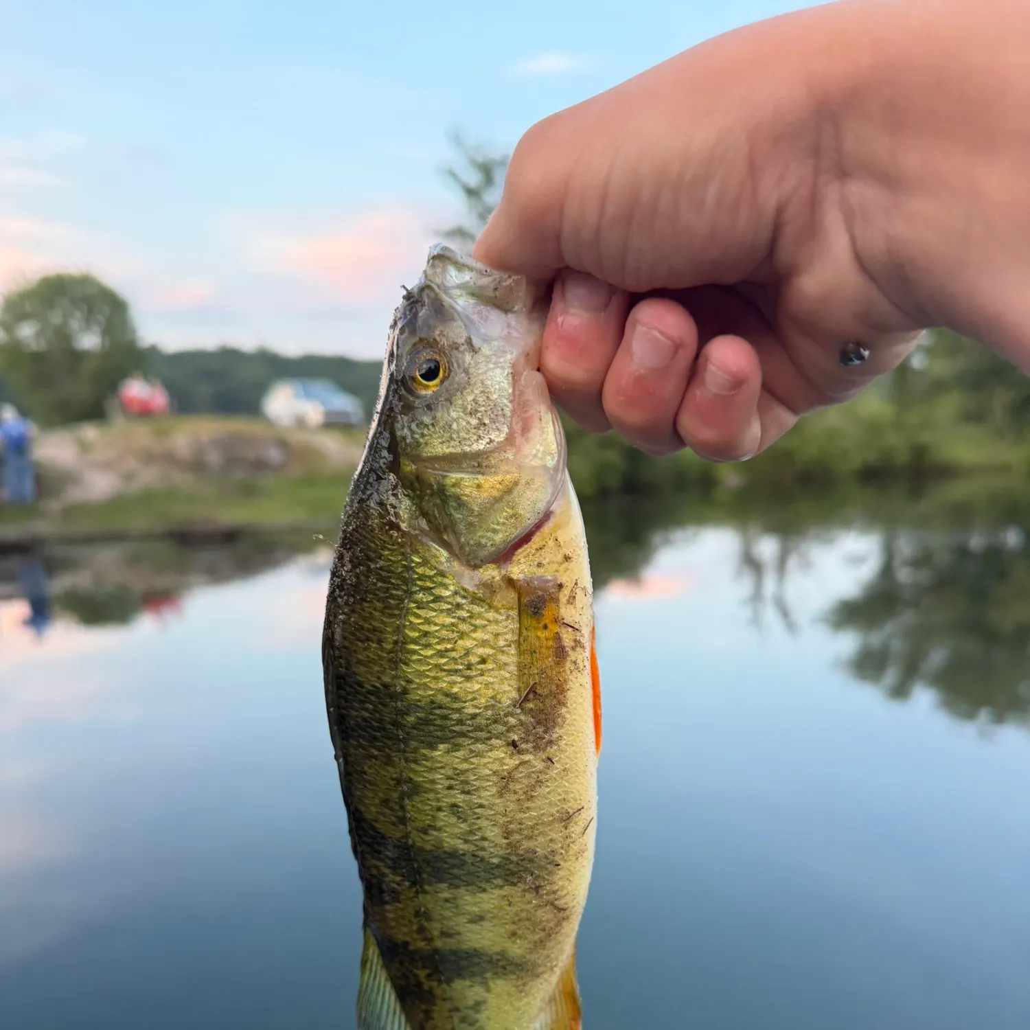 catch