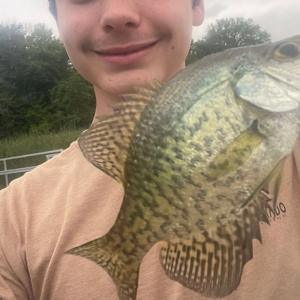 The most recent Common dolphinfish catches on Fishbrain
