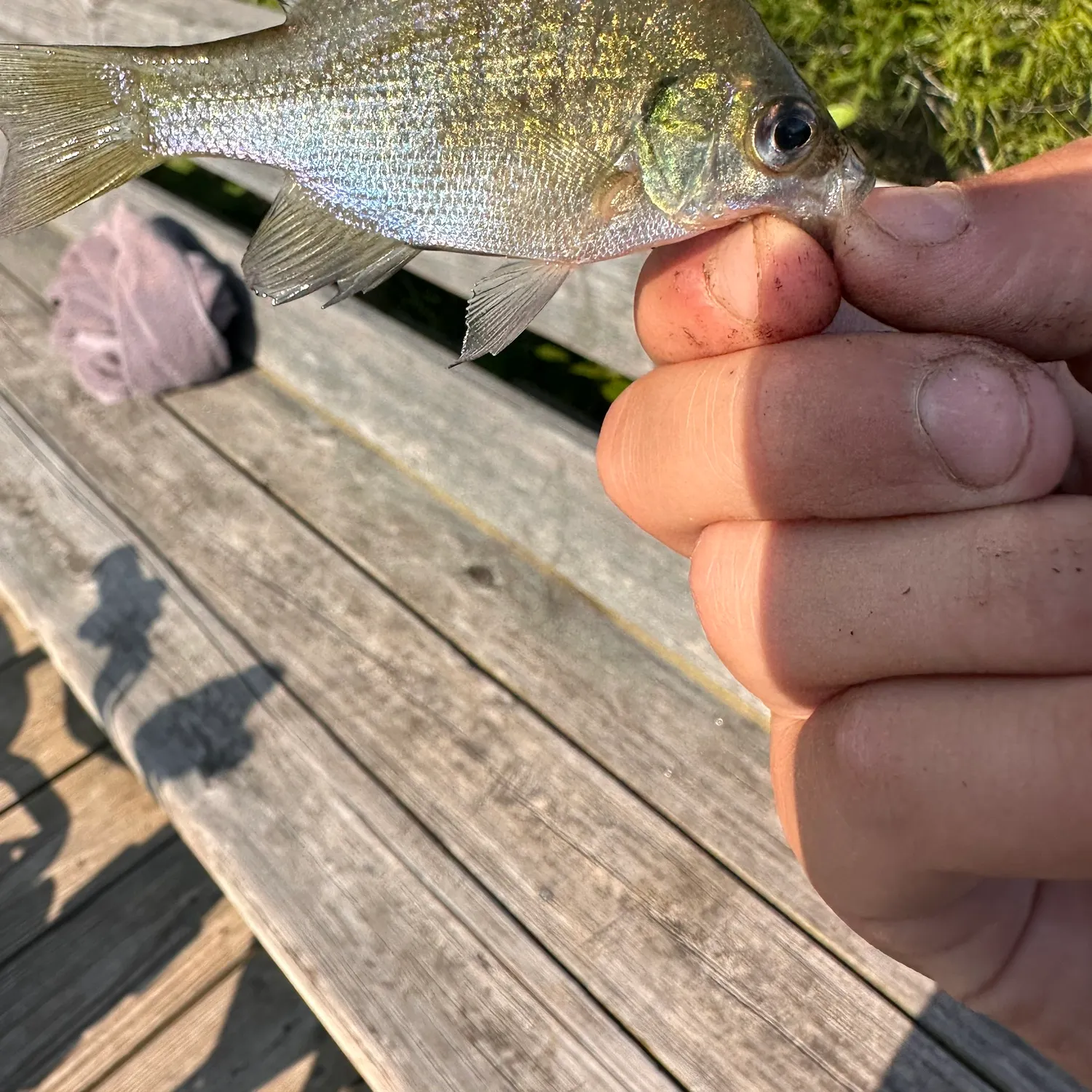 catch