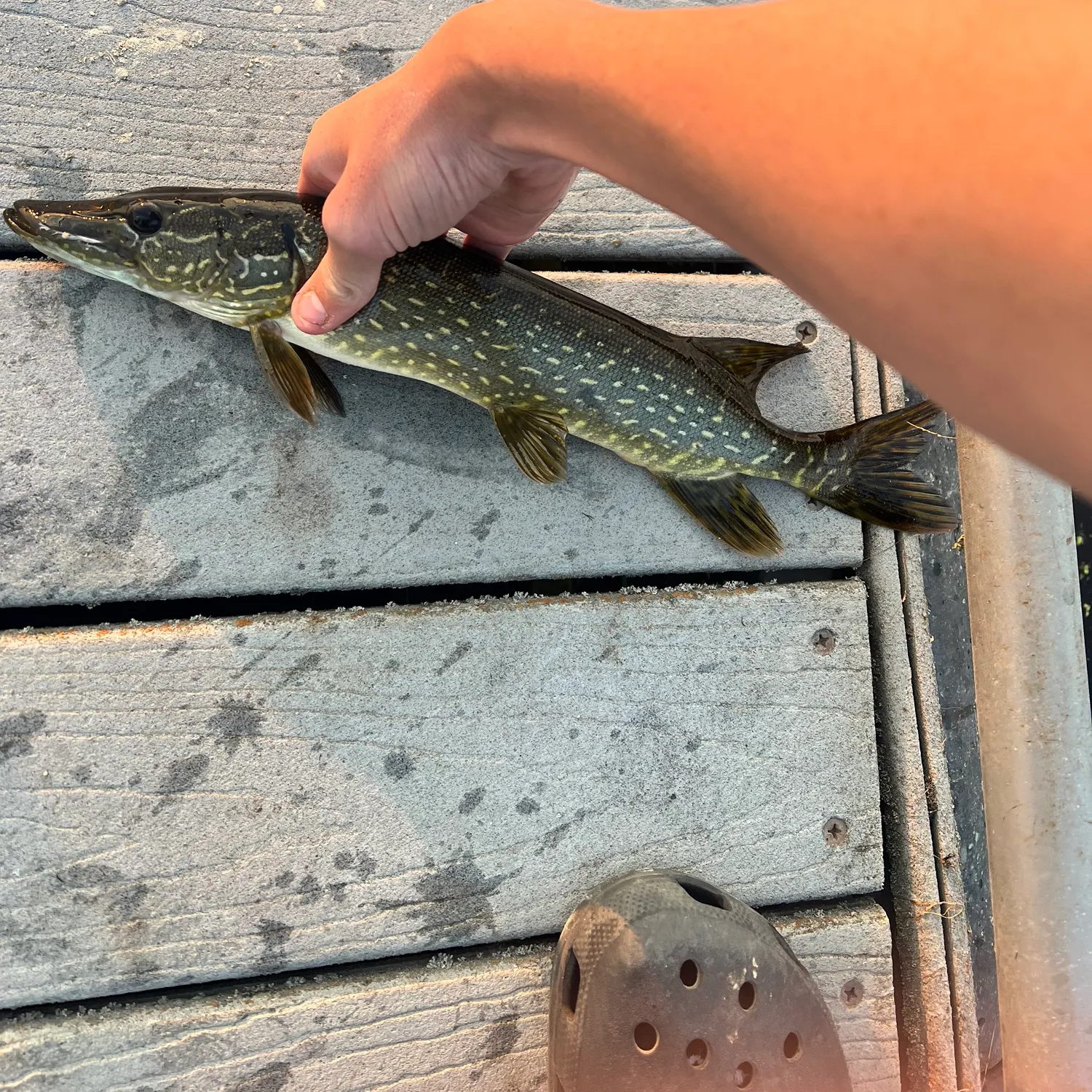 catch