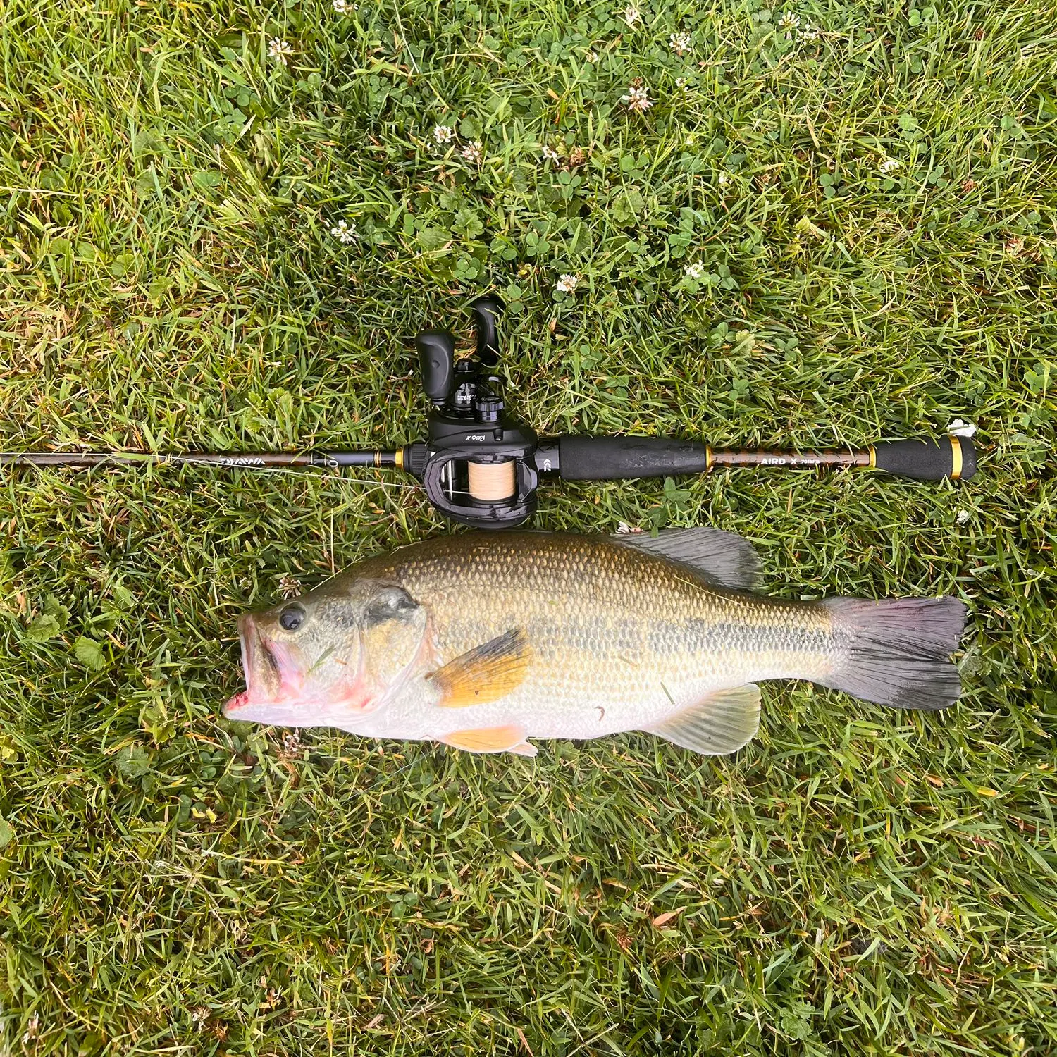 angler catch
