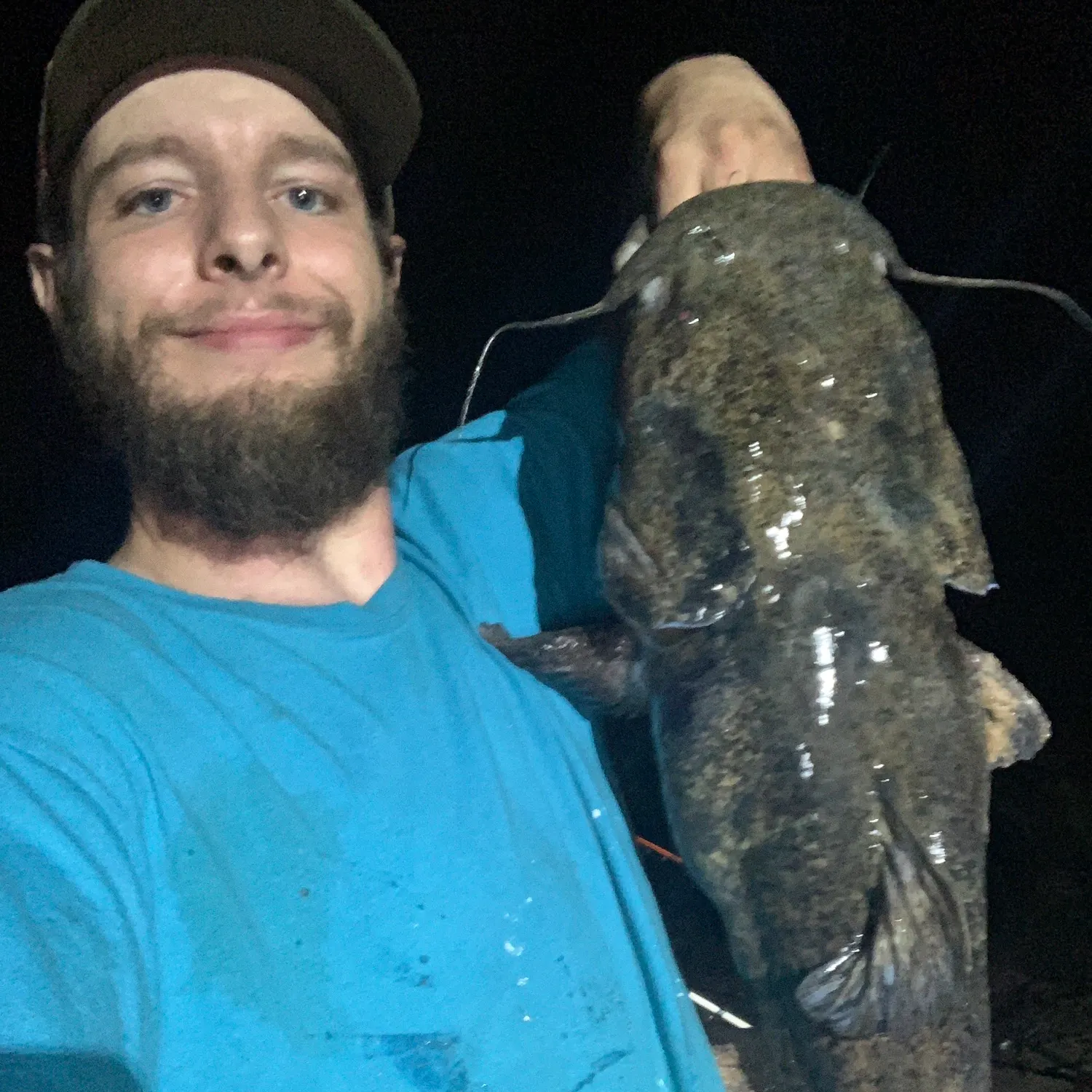 The most recent Flathead catfish catches on Fishbrain