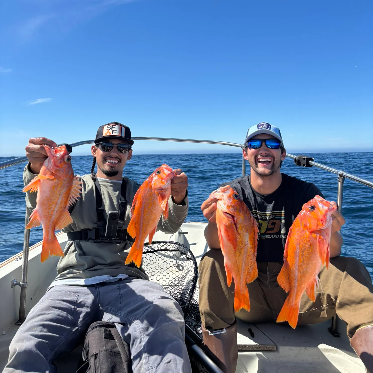 Vermilion rockfish caught on Fishbrain