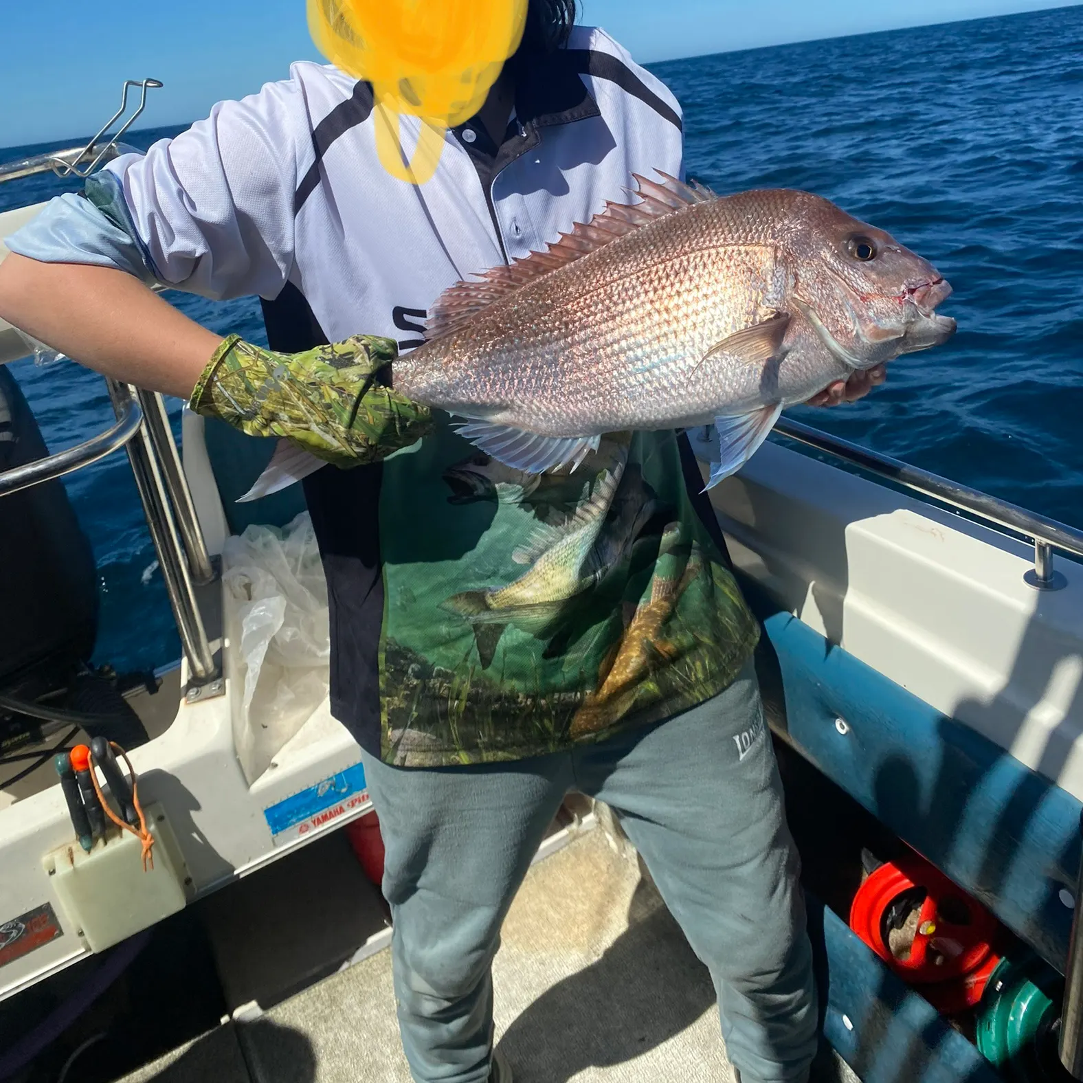 The most recent Australasian snapper catches on Fishbrain