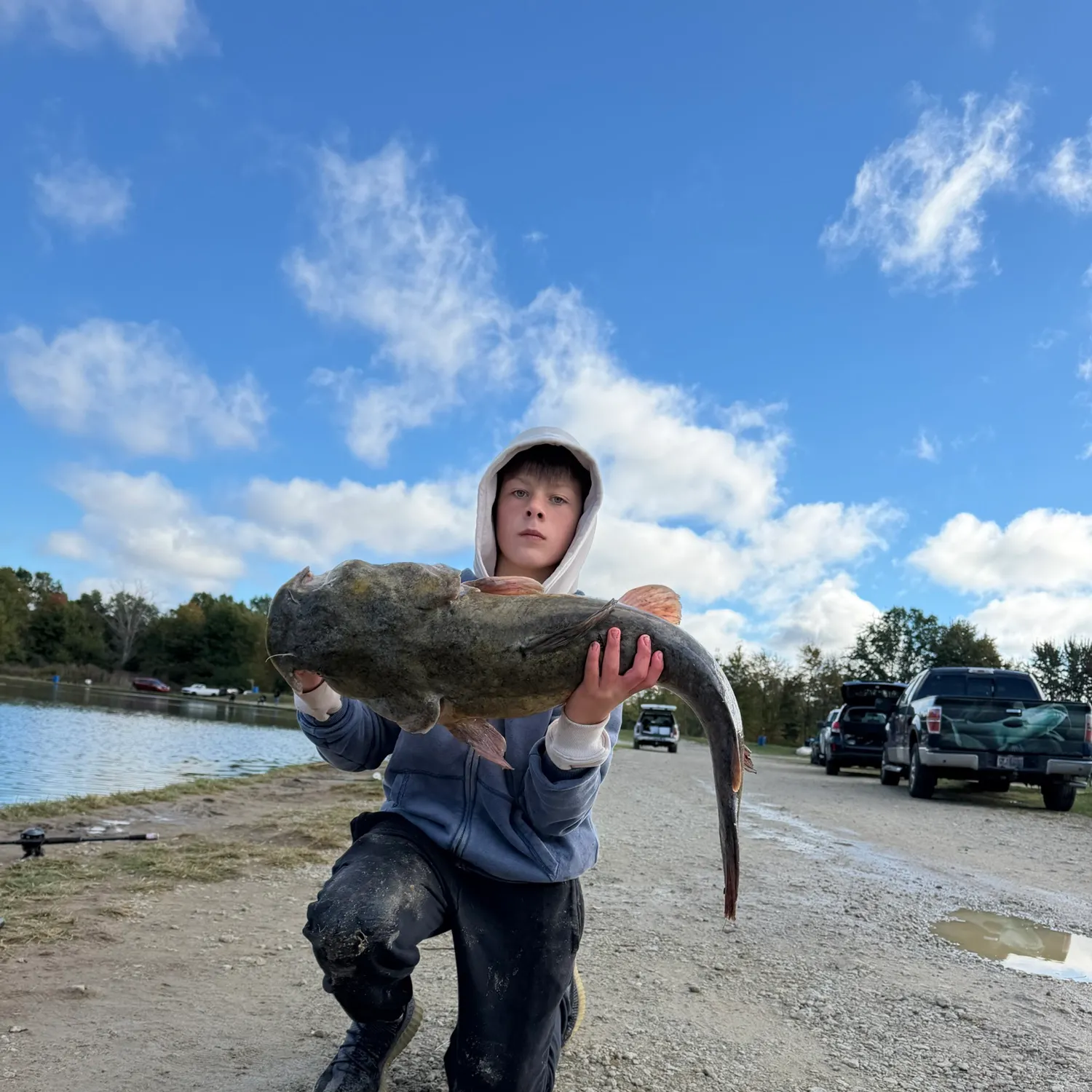 Flathead catfish caught on Fishbrain