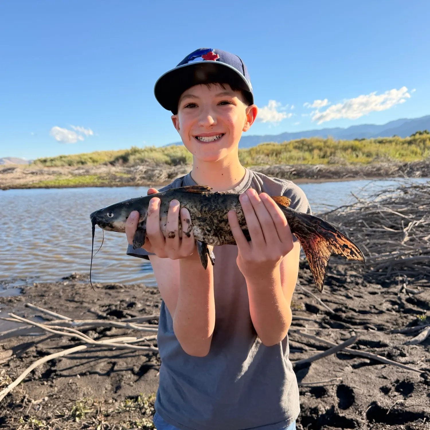 Channel catfish caught on Fishbrain