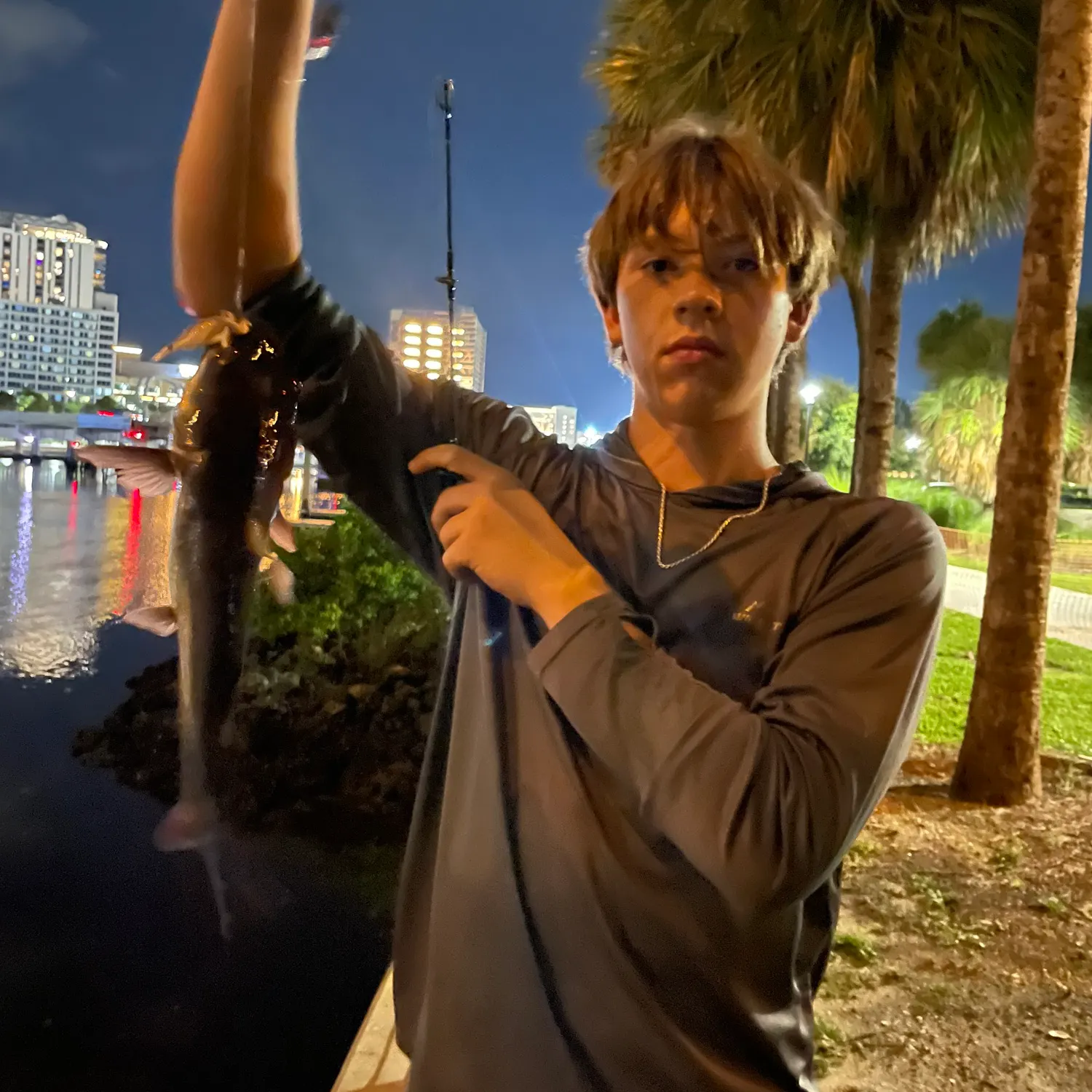 Hardhead sea catfish caught on Fishbrain