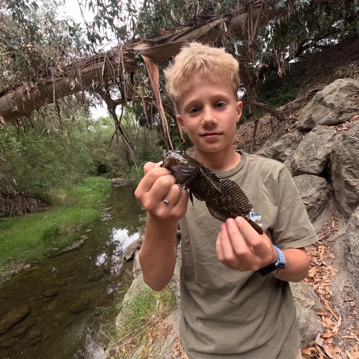 The most recent Shorthorn sculpin catches on Fishbrain