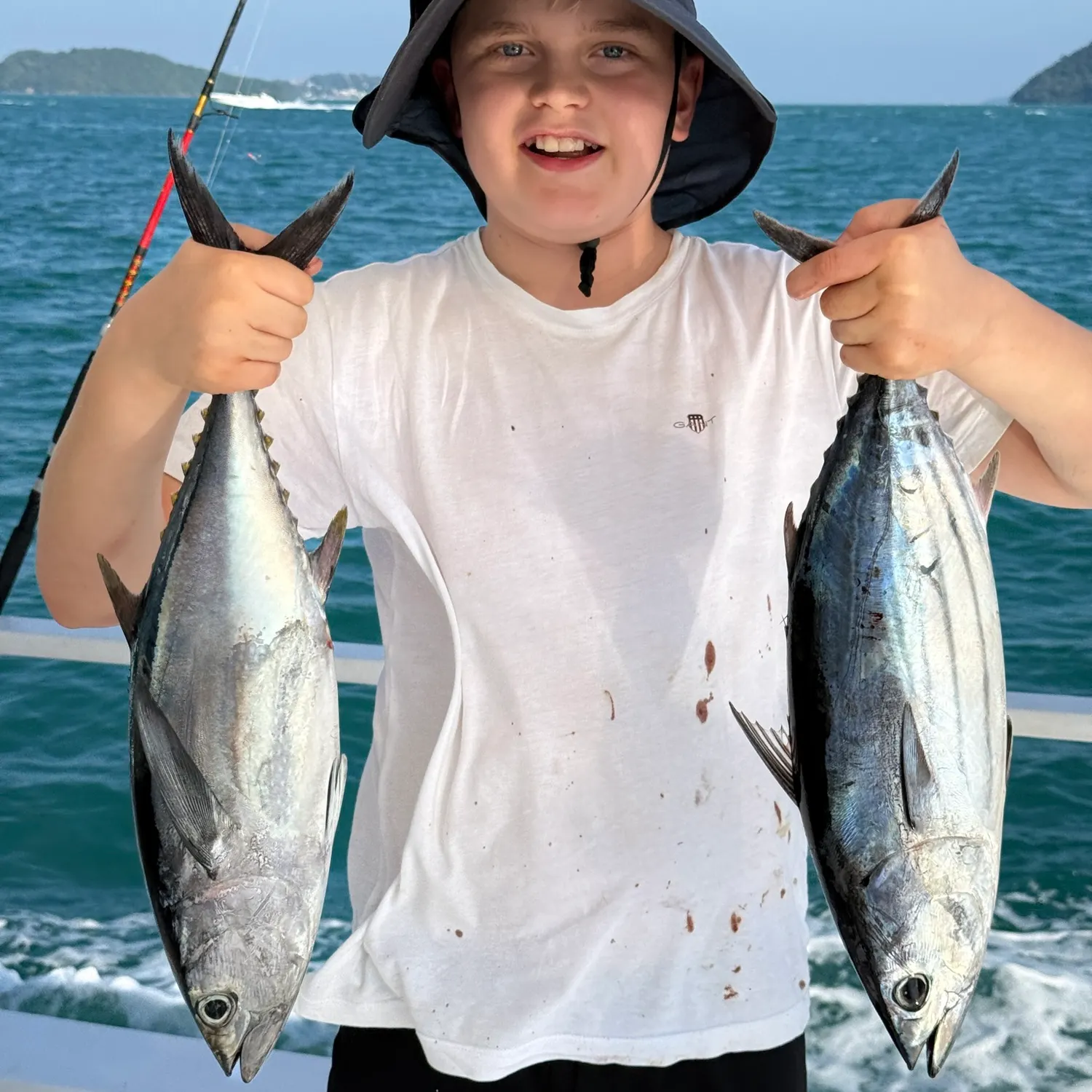 The most recent Southern bluefin tuna catches on Fishbrain