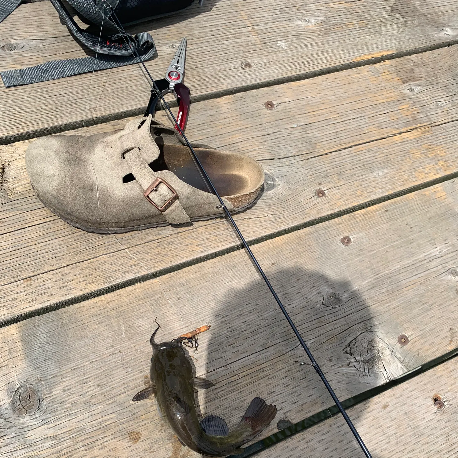 catch