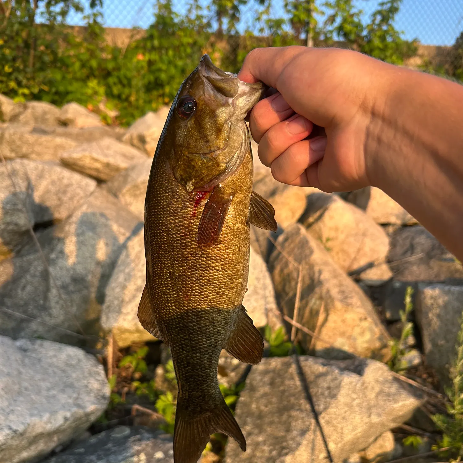 catch