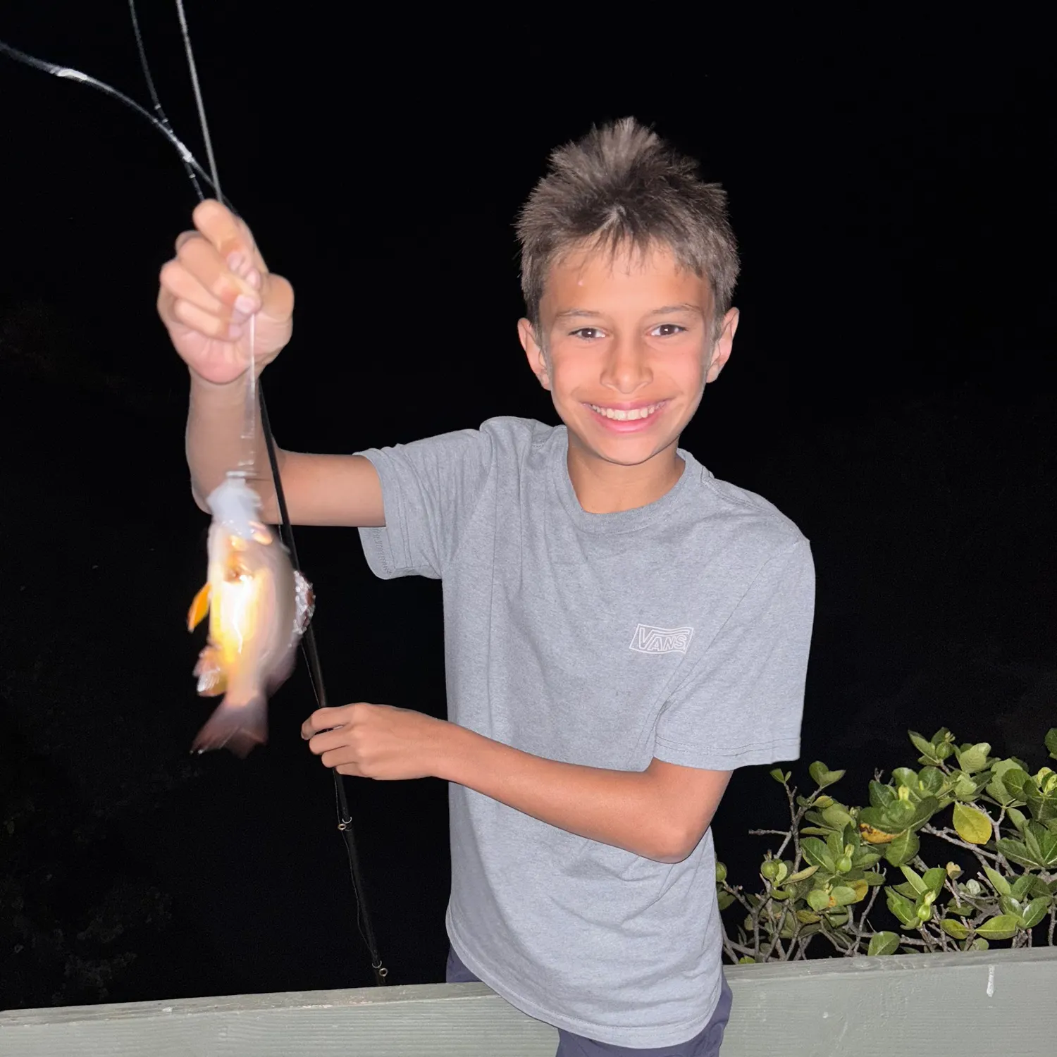 The most recent Blackfin snapper catches on Fishbrain