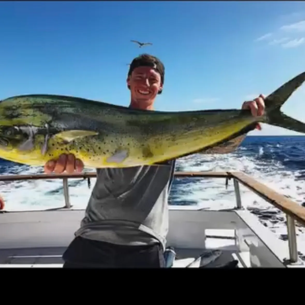 Common dolphinfish caught on Fishbrain