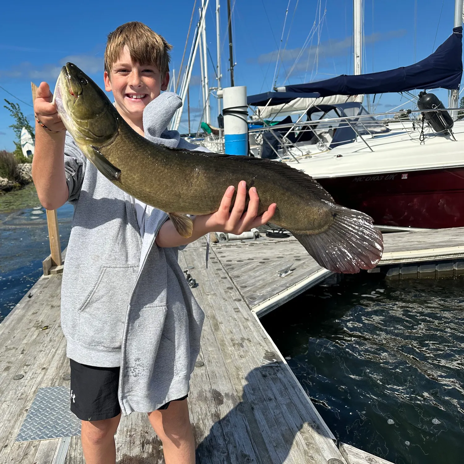 Eyetail bowfin caught on Fishbrain
