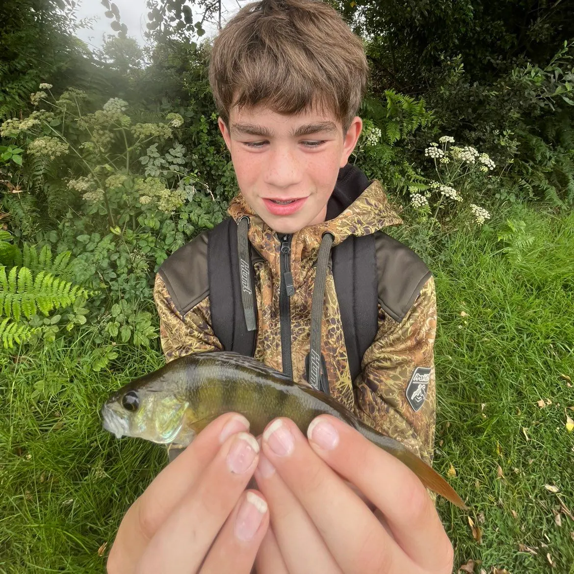 European perch caught on Fishbrain