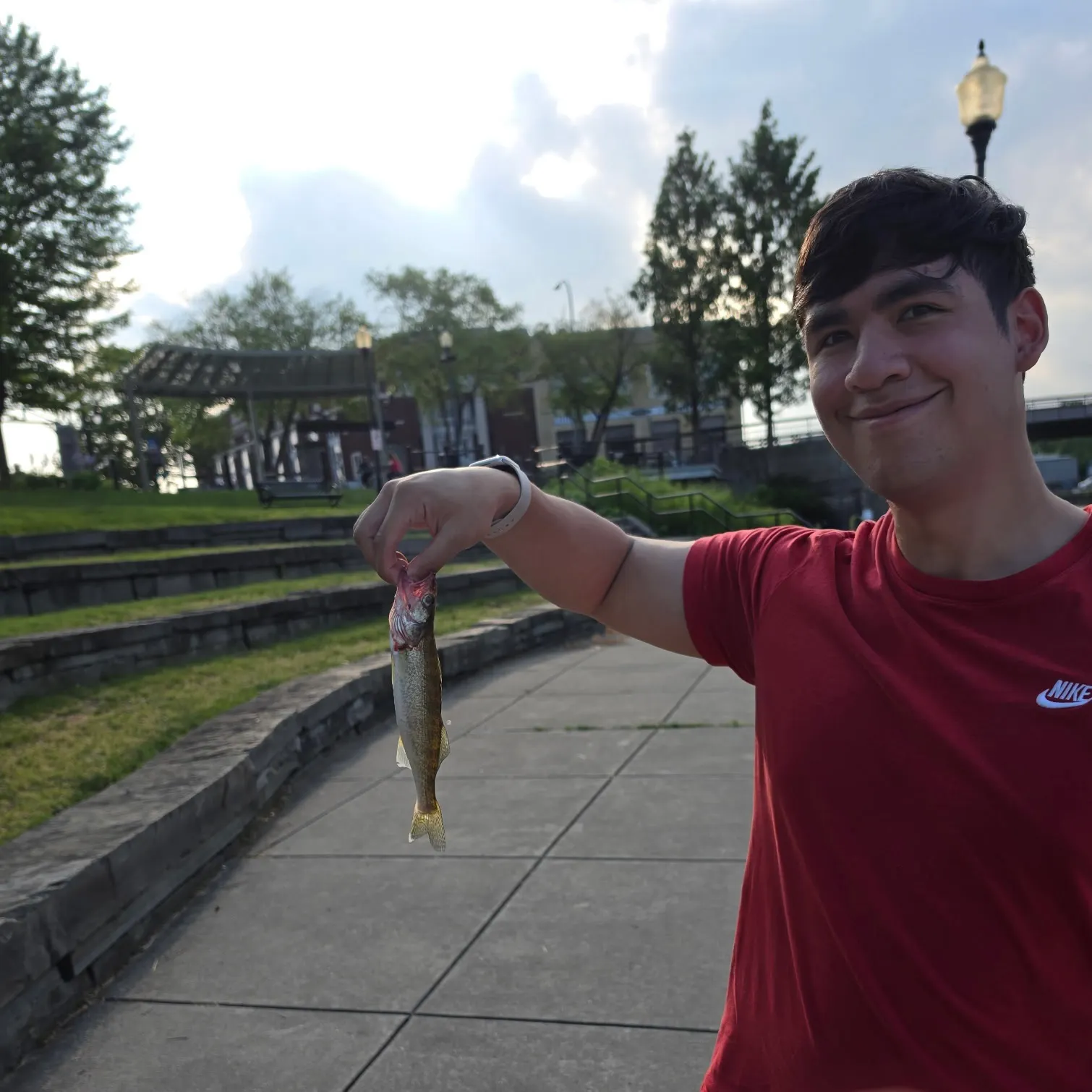 catch