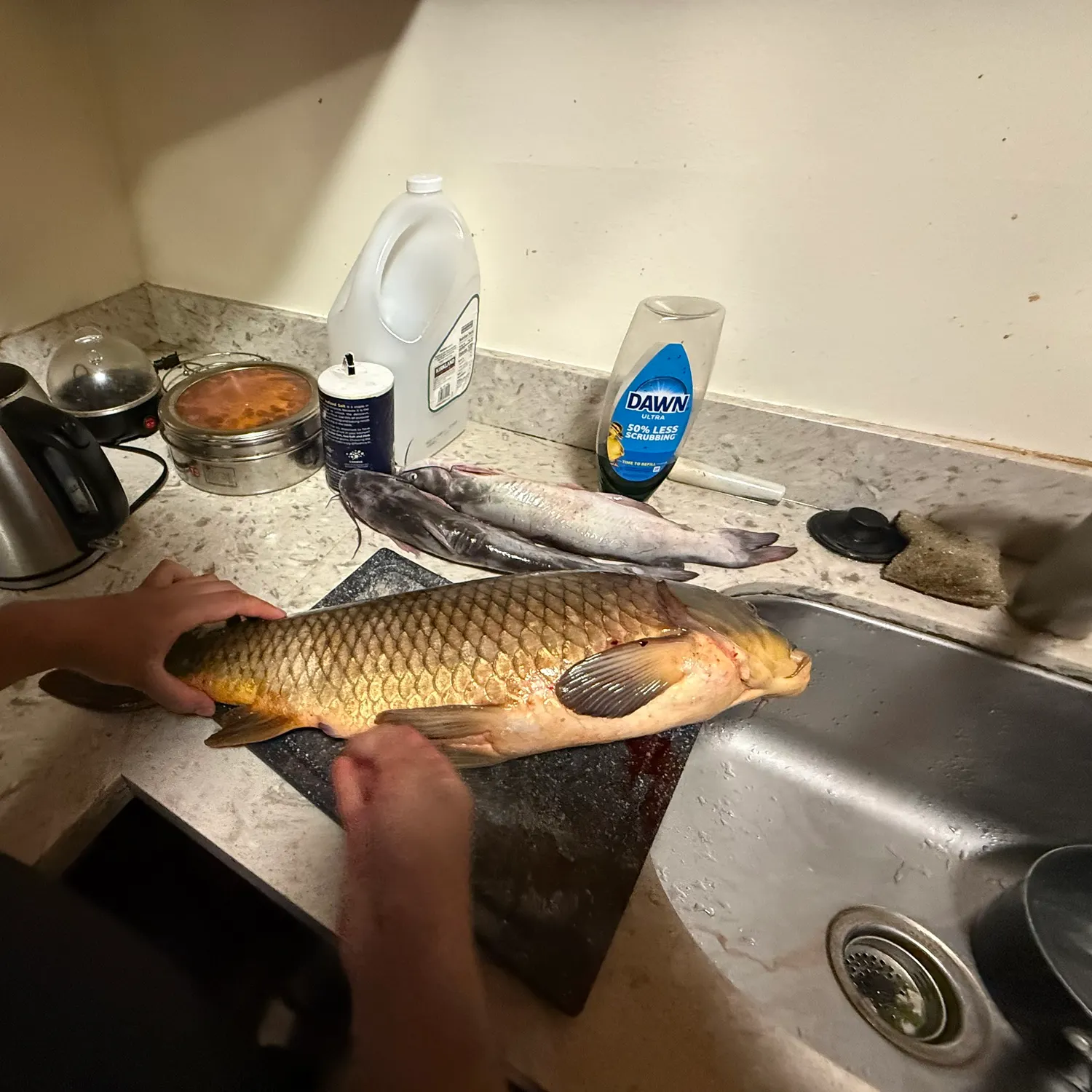catch