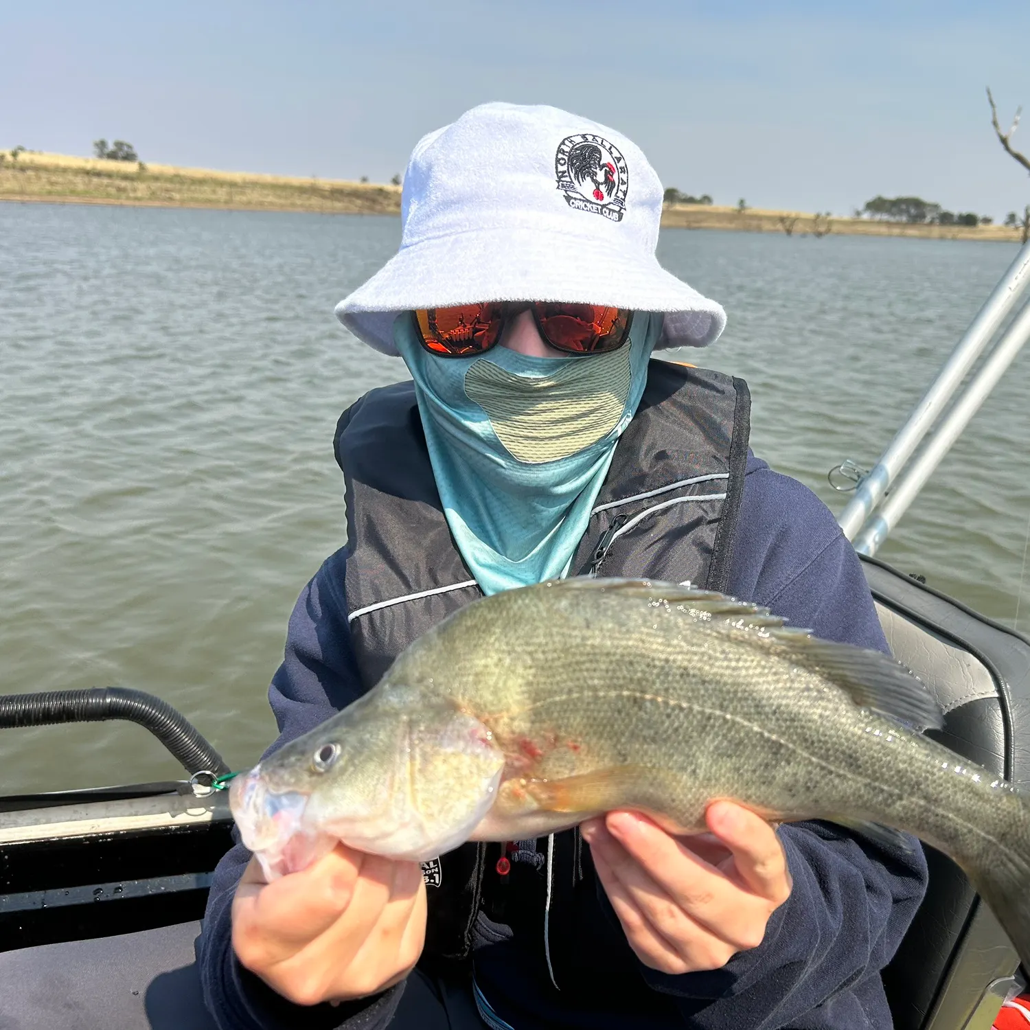 The most recent Golden perch catches on Fishbrain