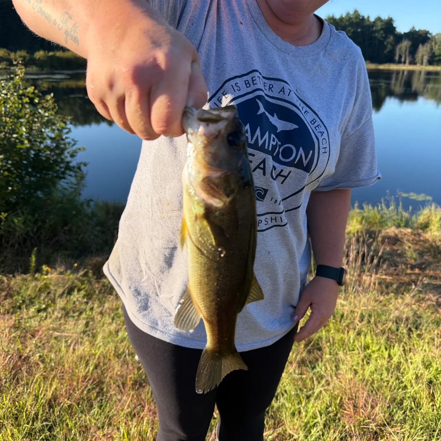 Fish caught on Fishbrain