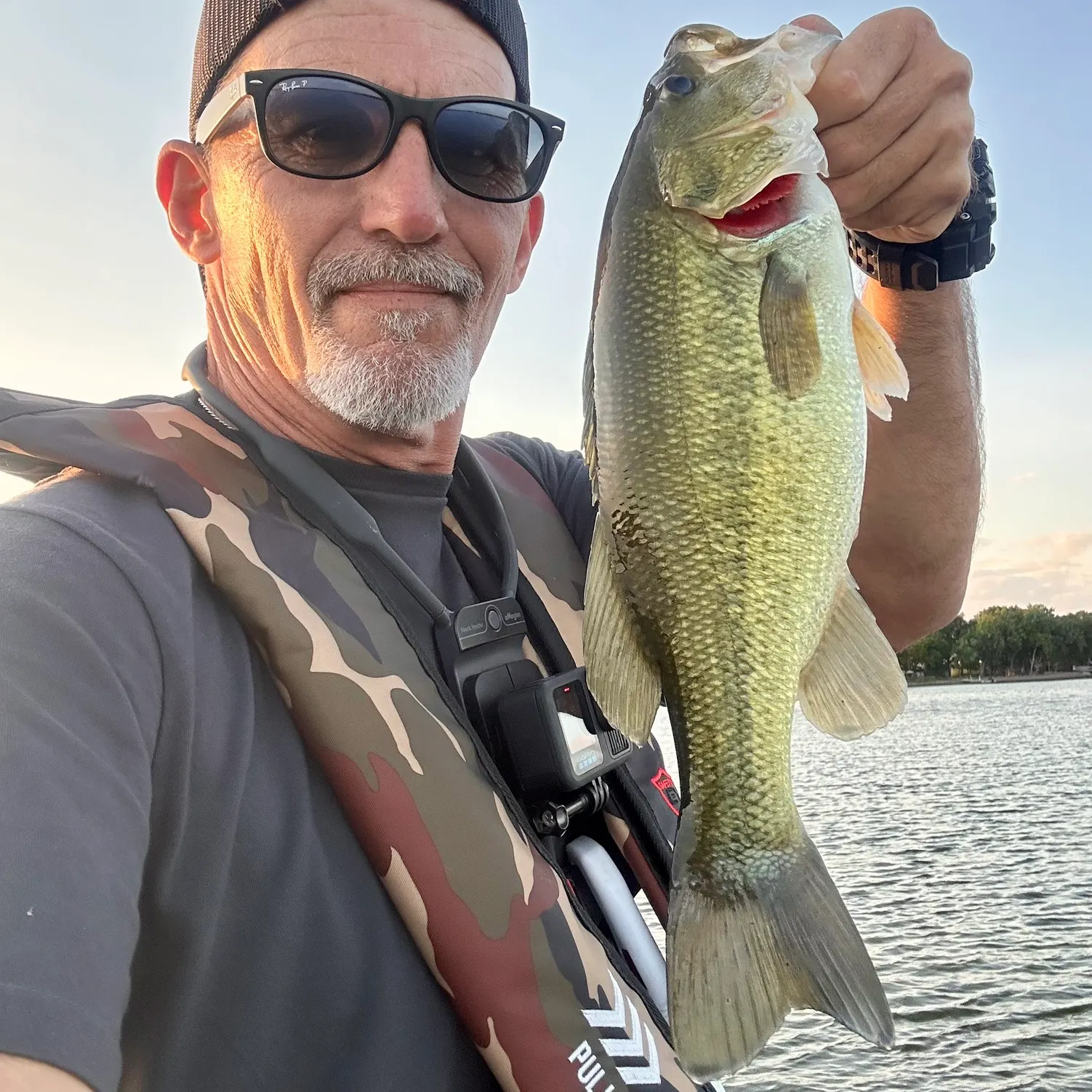 Largemouth bass caught on Fishbrain
