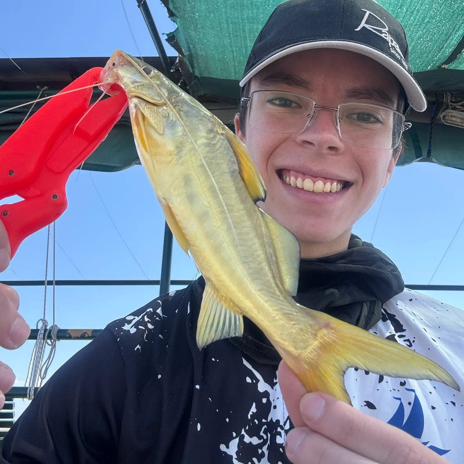 The most recent Spotted pimelodus catches on Fishbrain