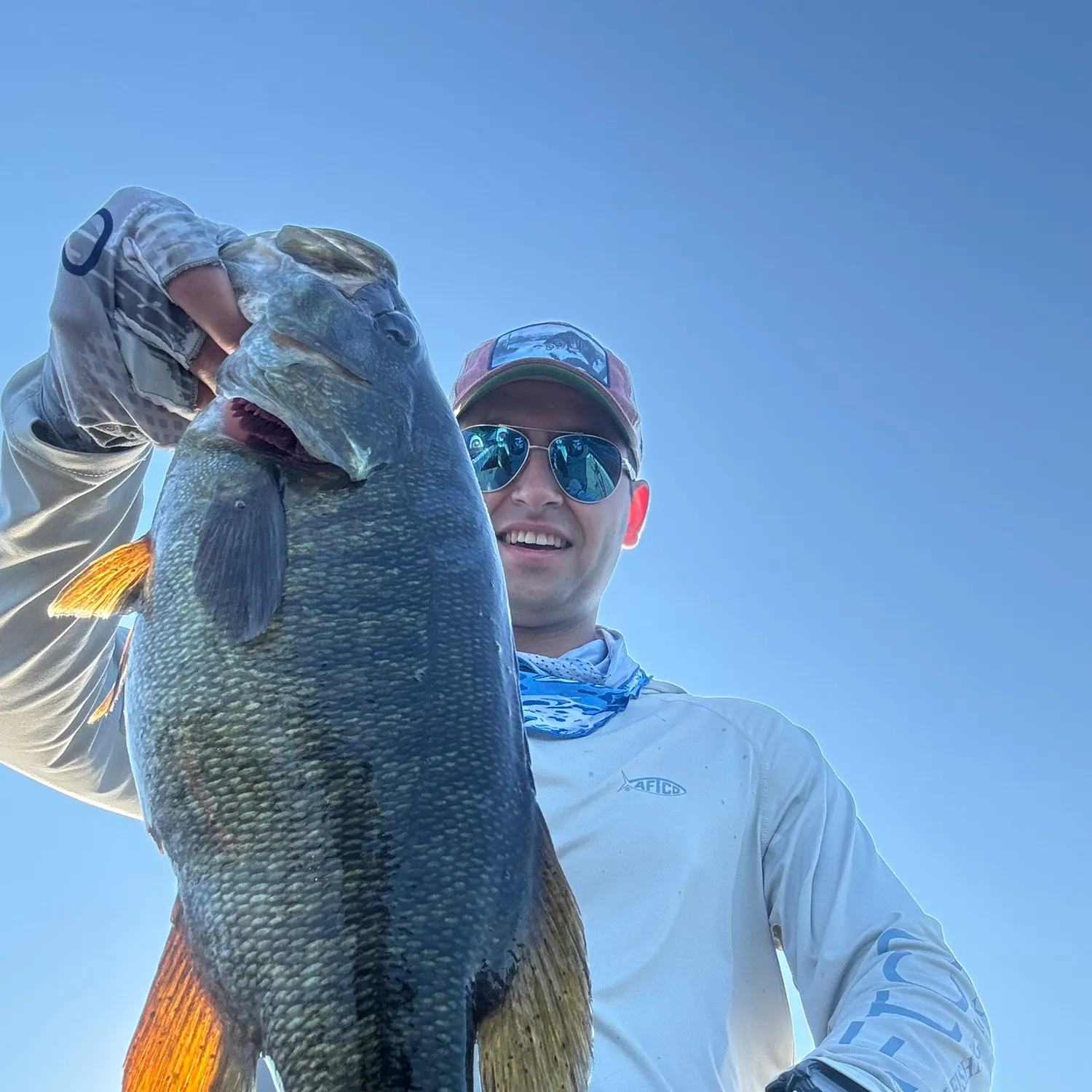 Smallmouth bass caught on Fishbrain